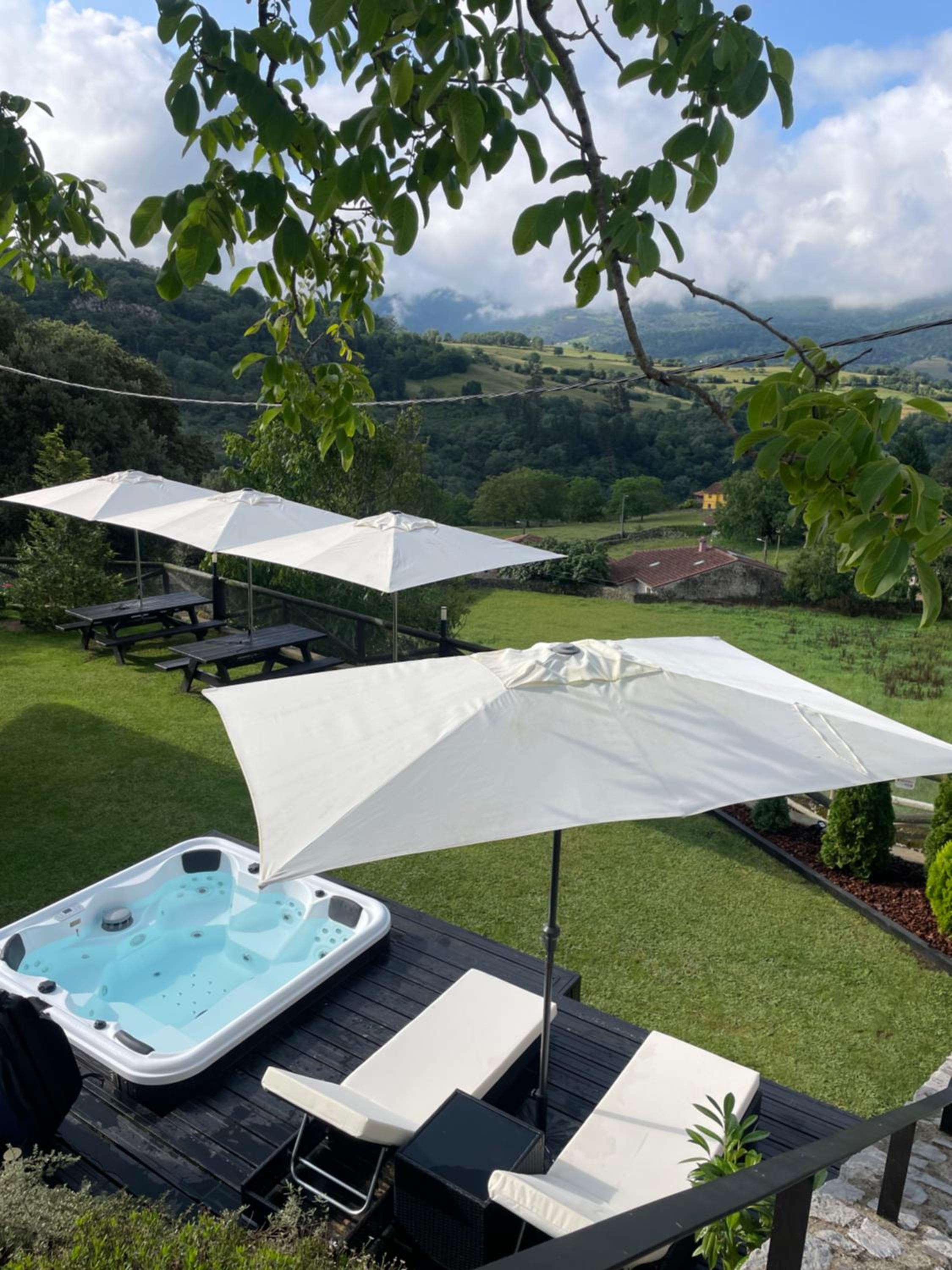 Photo 161