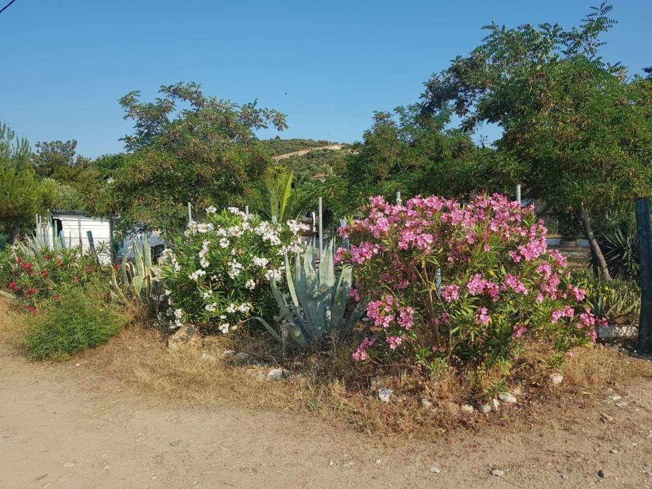 Photo 45