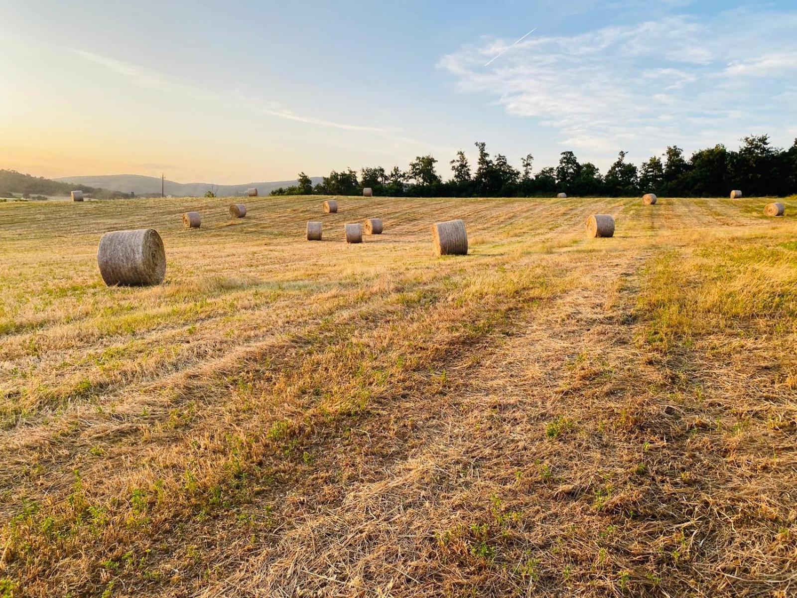 other