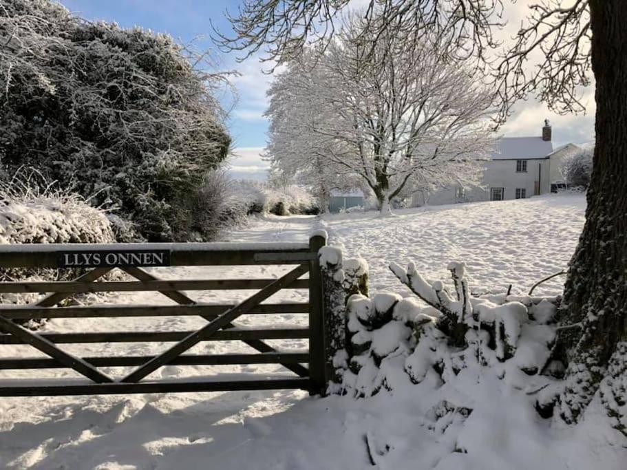 Llys Onnen - North Wales Holiday Cottage view 2