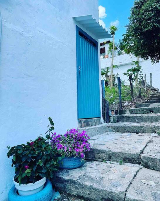 cabaña la bonita