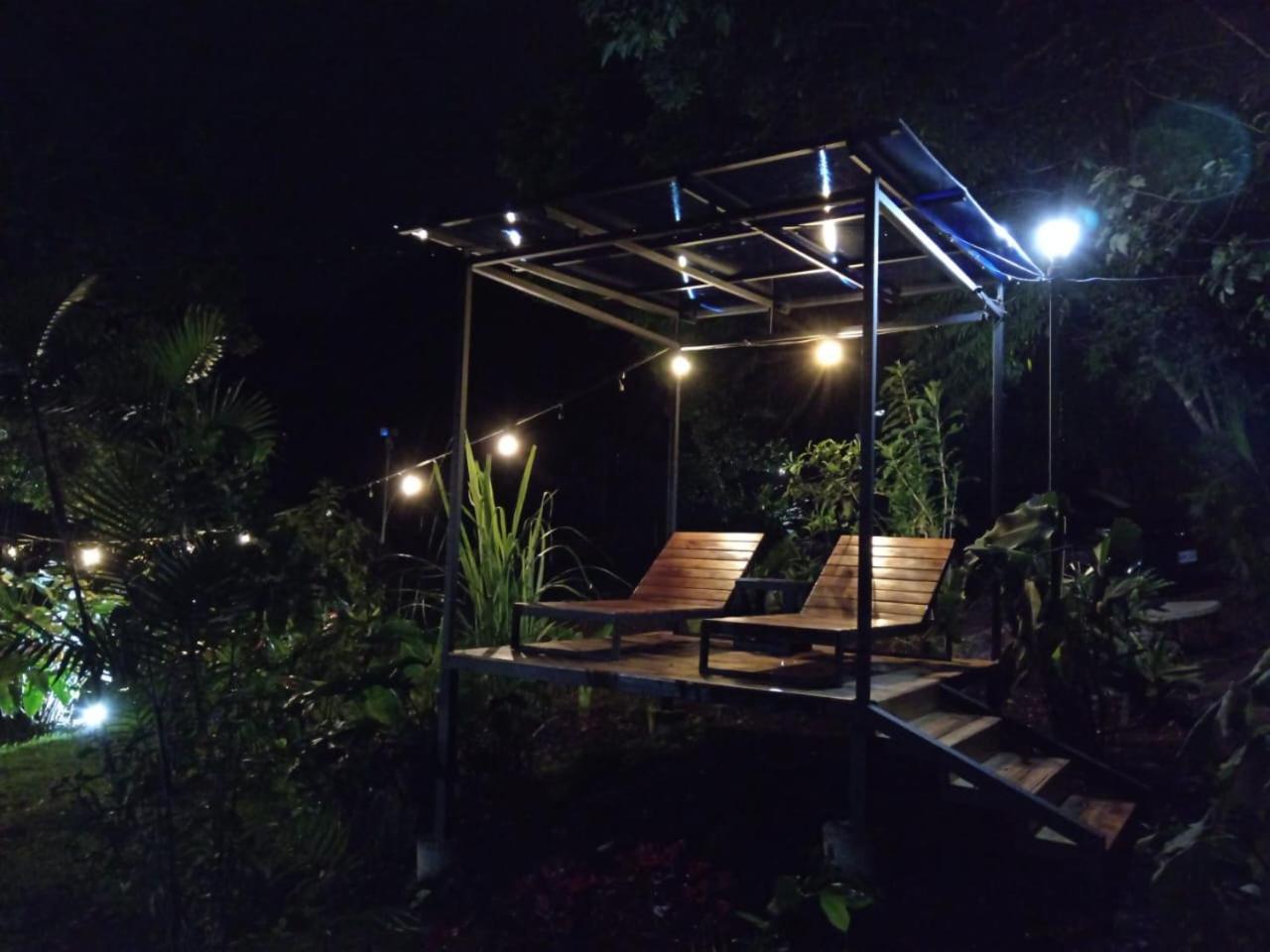 Jungle Living Tree Houses