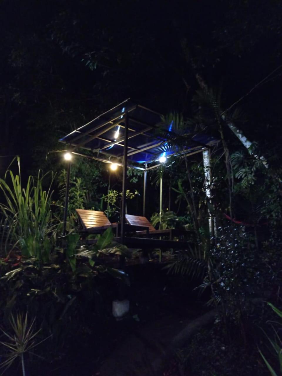 Jungle Living Tree Houses