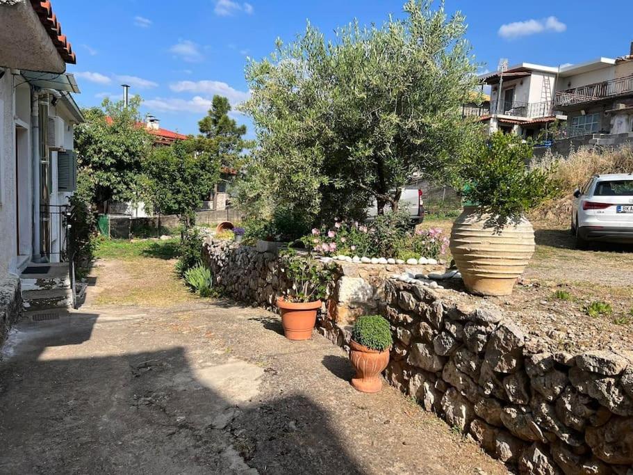 Guesthouse Simou 2