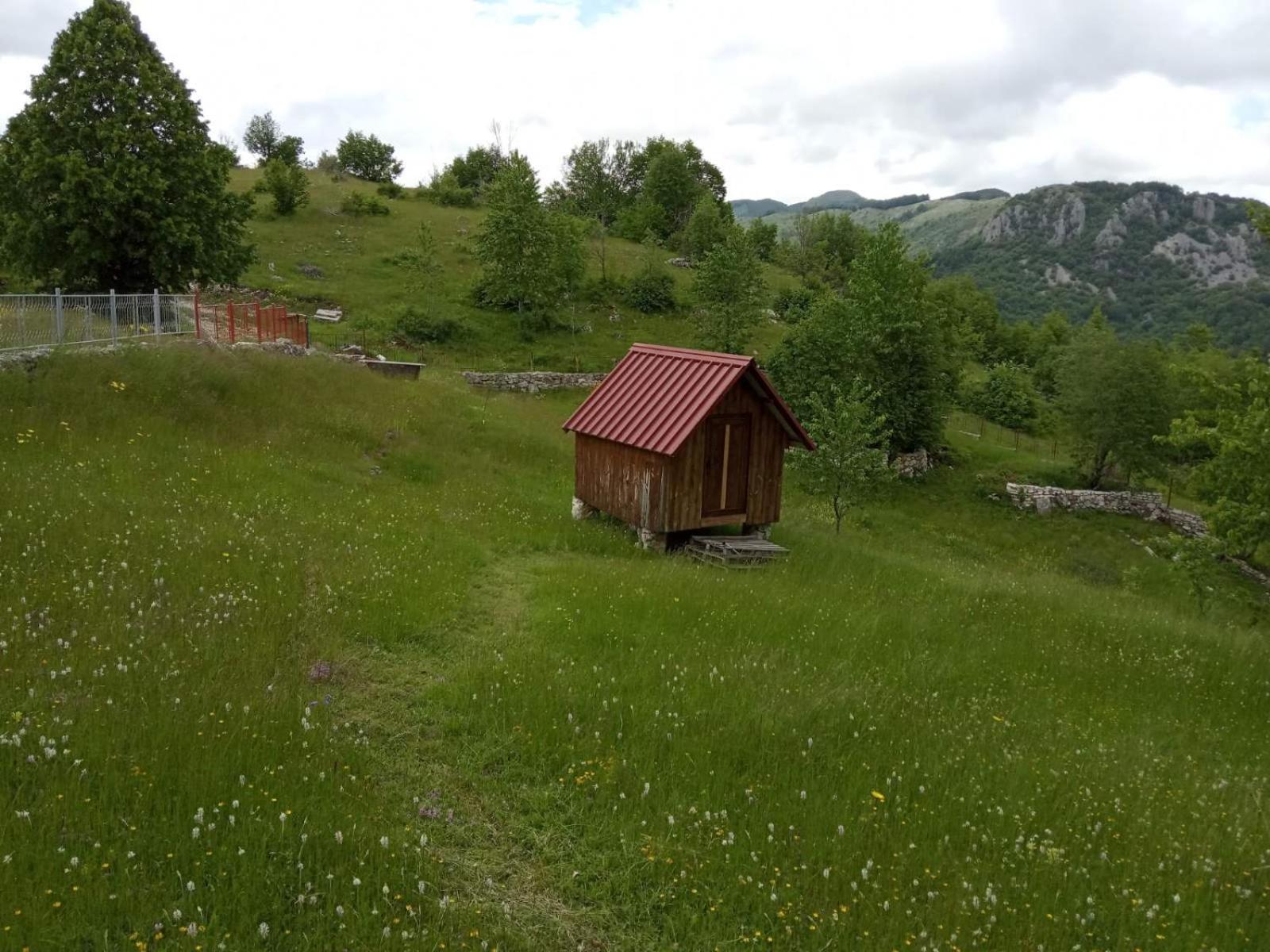 Photo 41