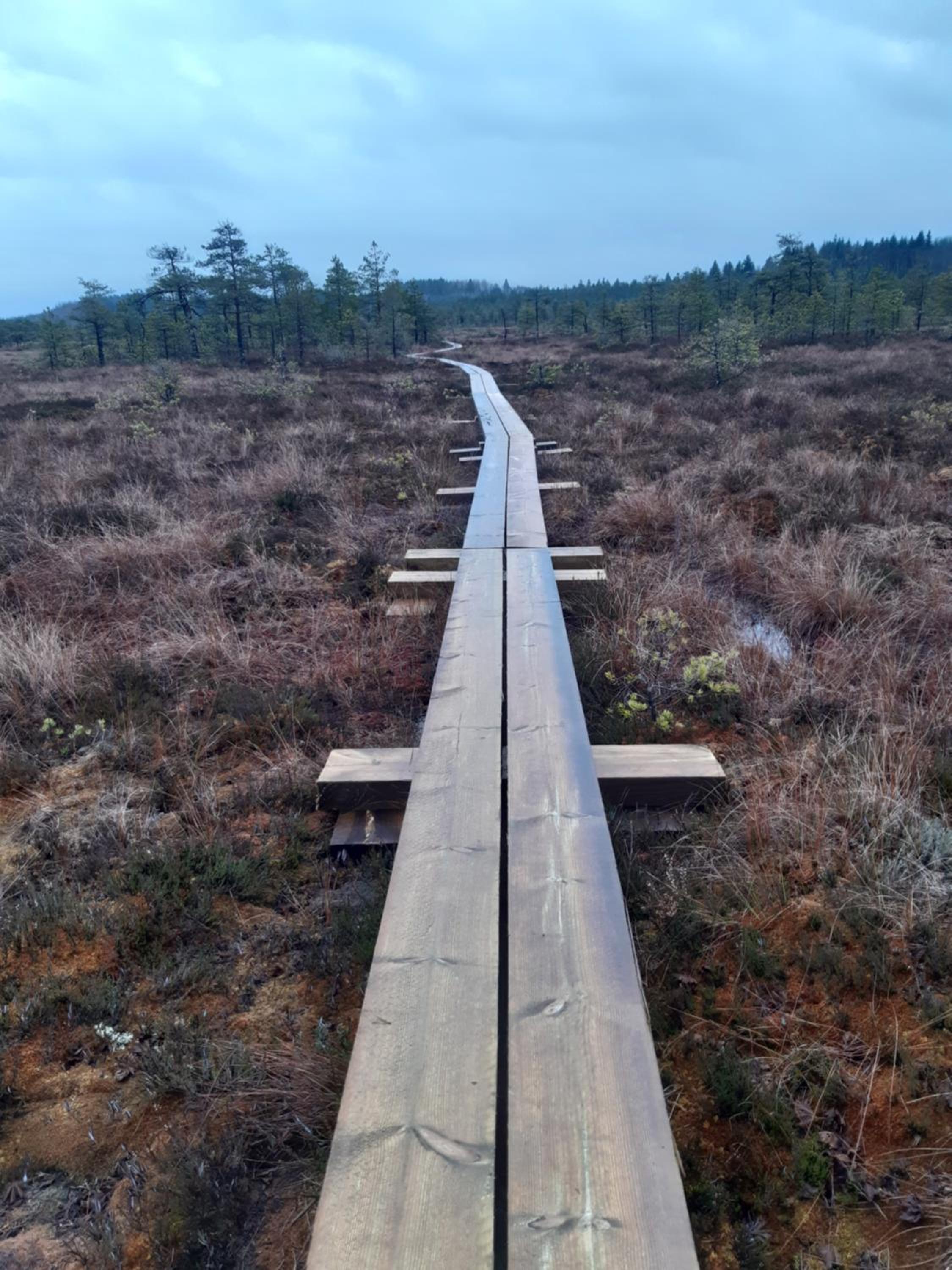 Kirjakkalan Ruukkikylä