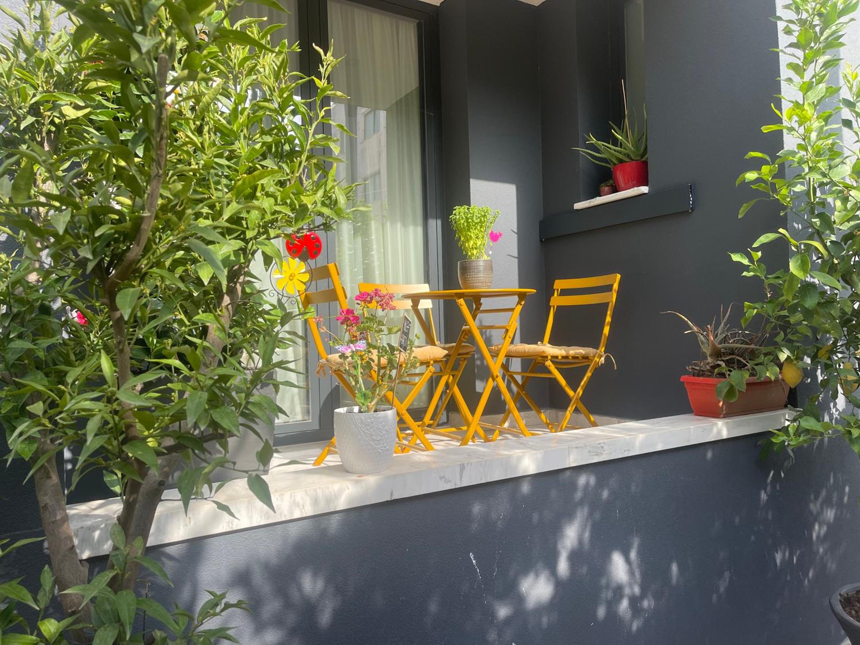 Vlora sweet apartment