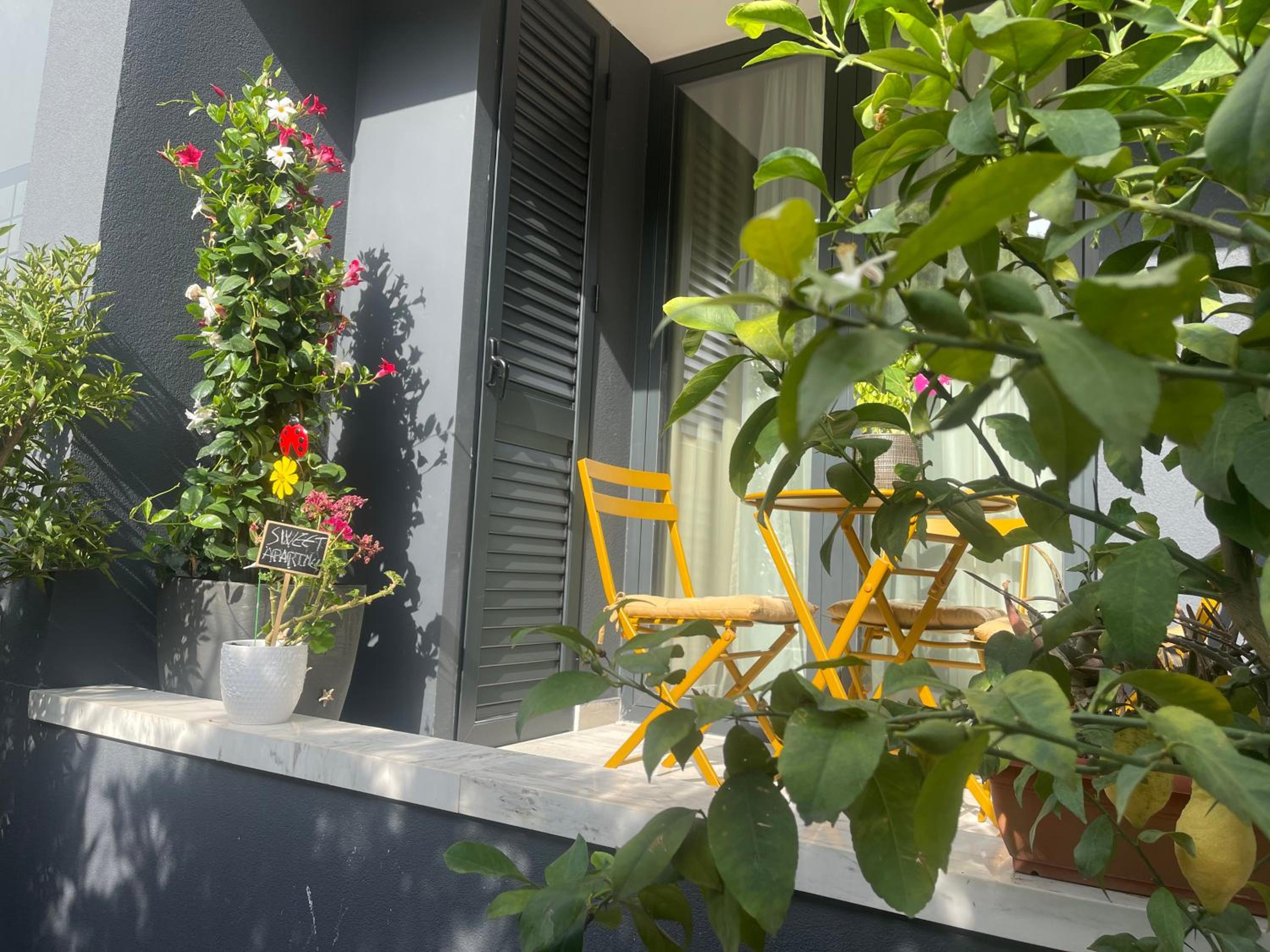 Vlora sweet apartment