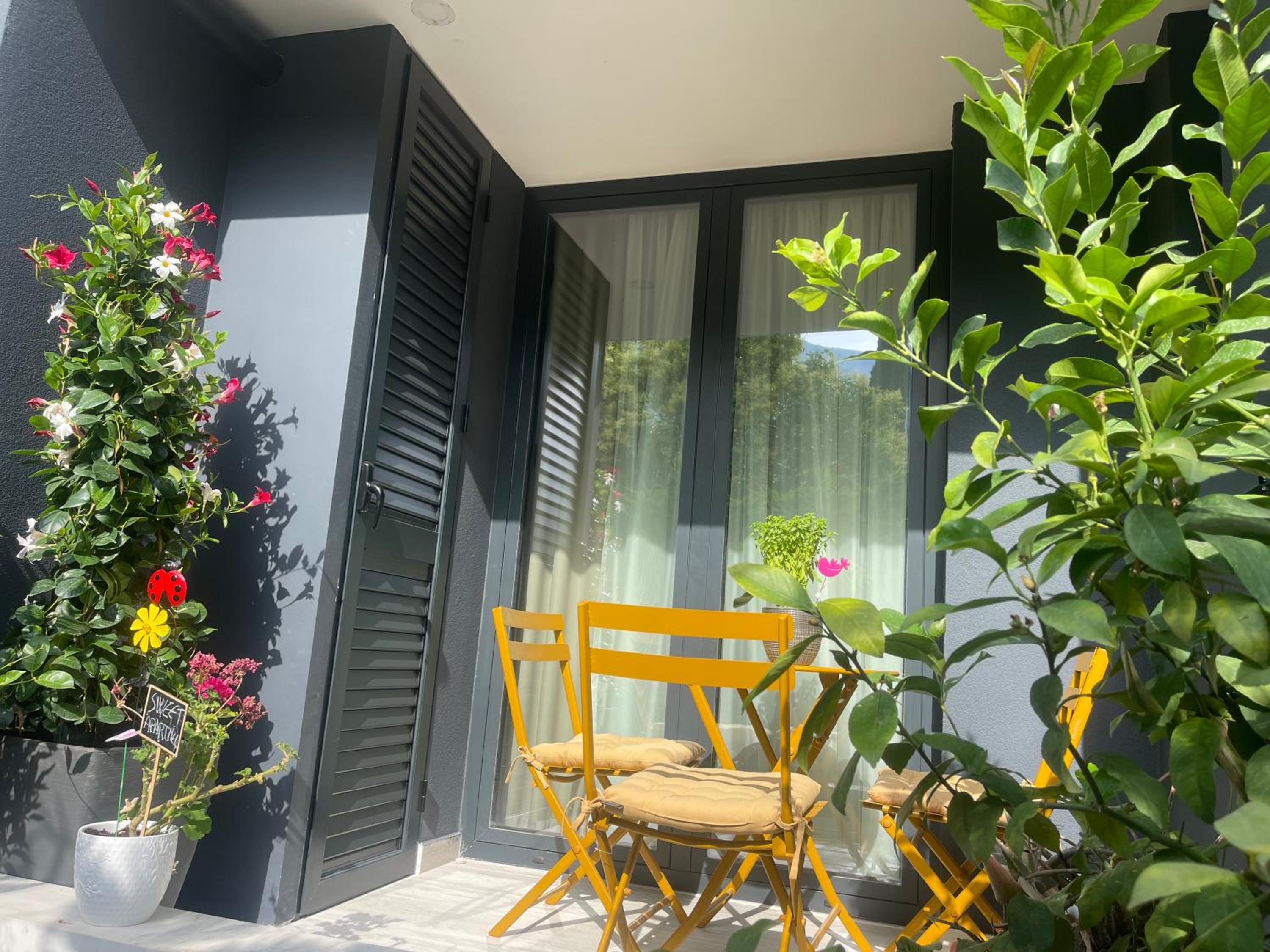 Vlora sweet apartment