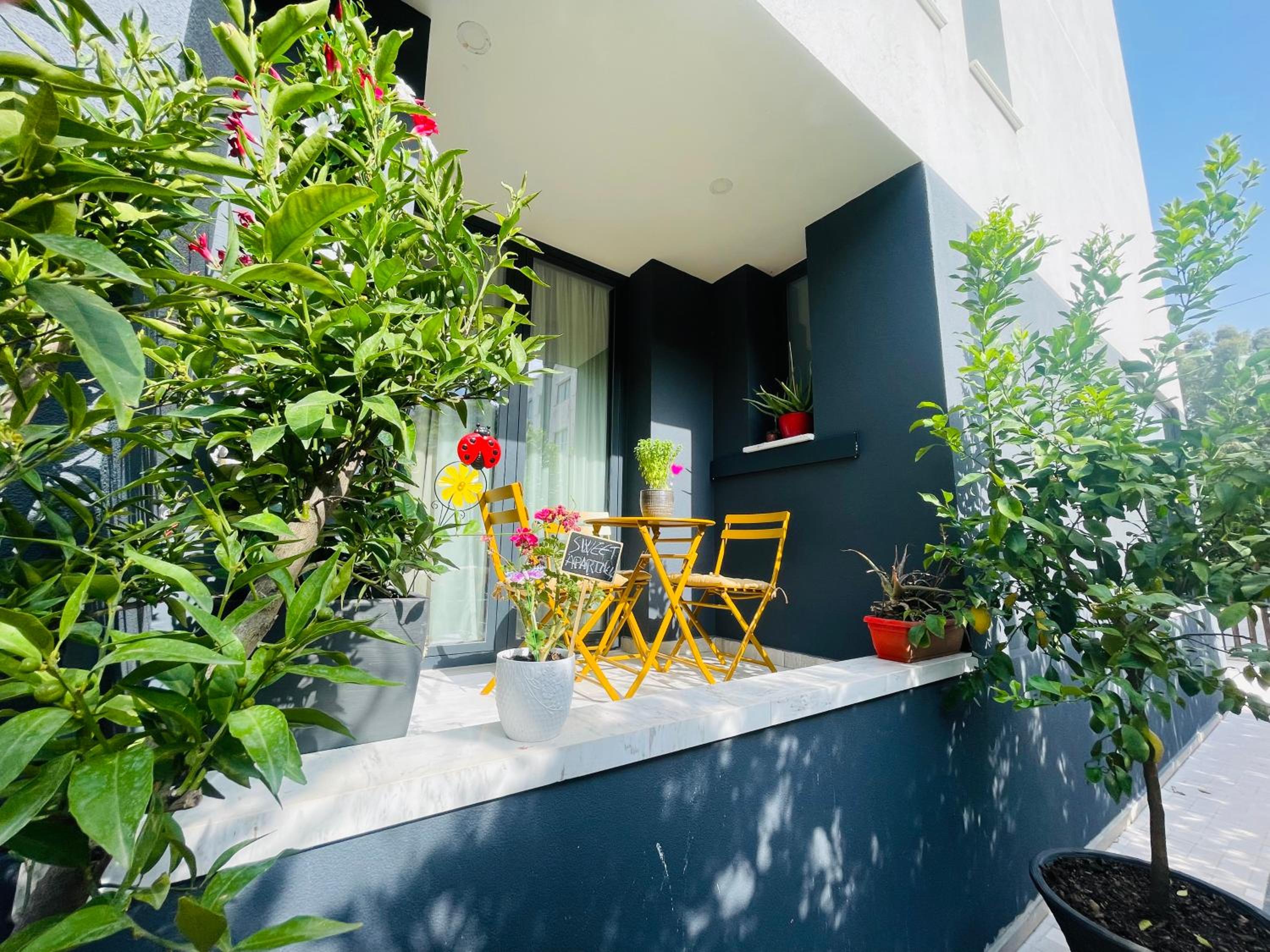 Vlora sweet apartment