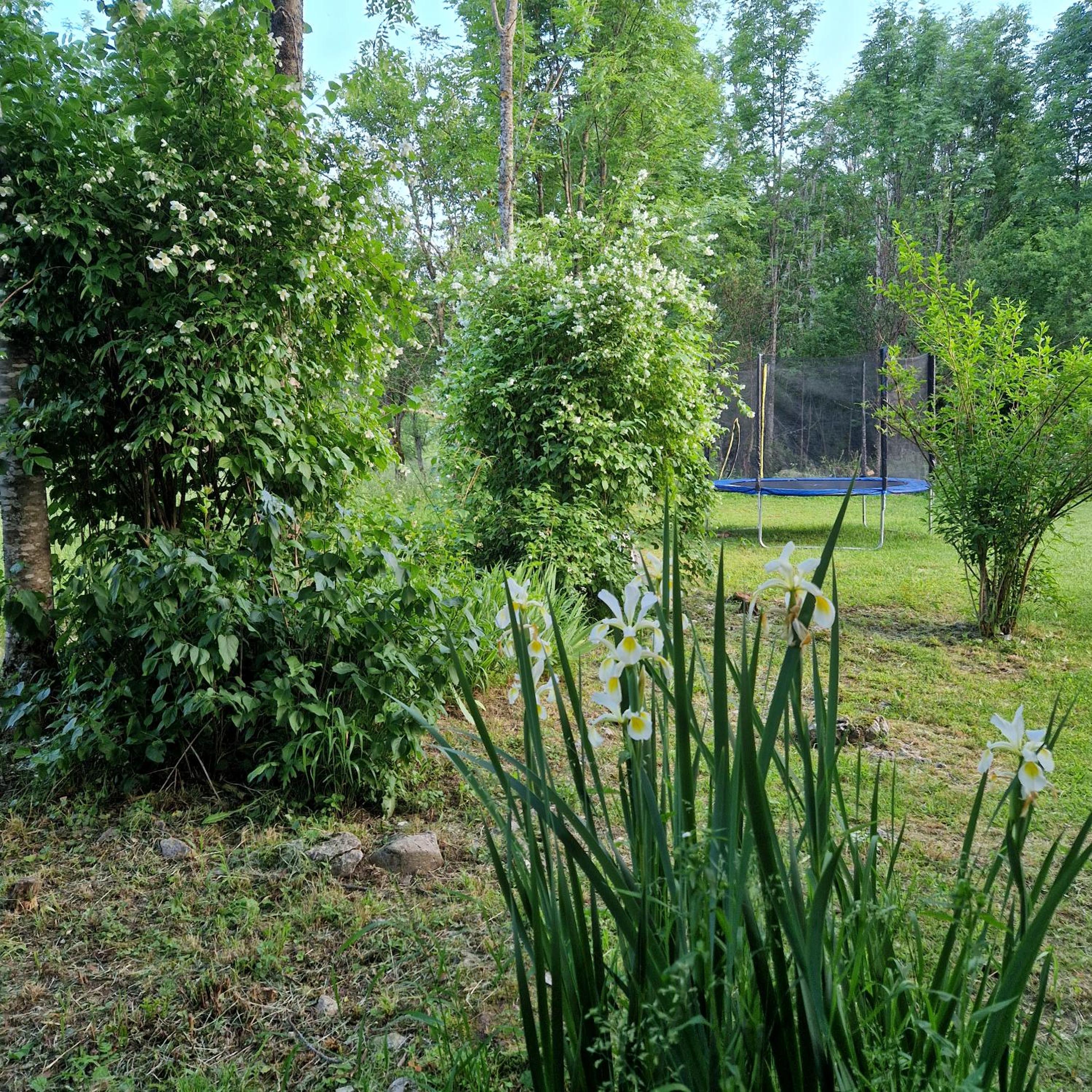 Photo 36