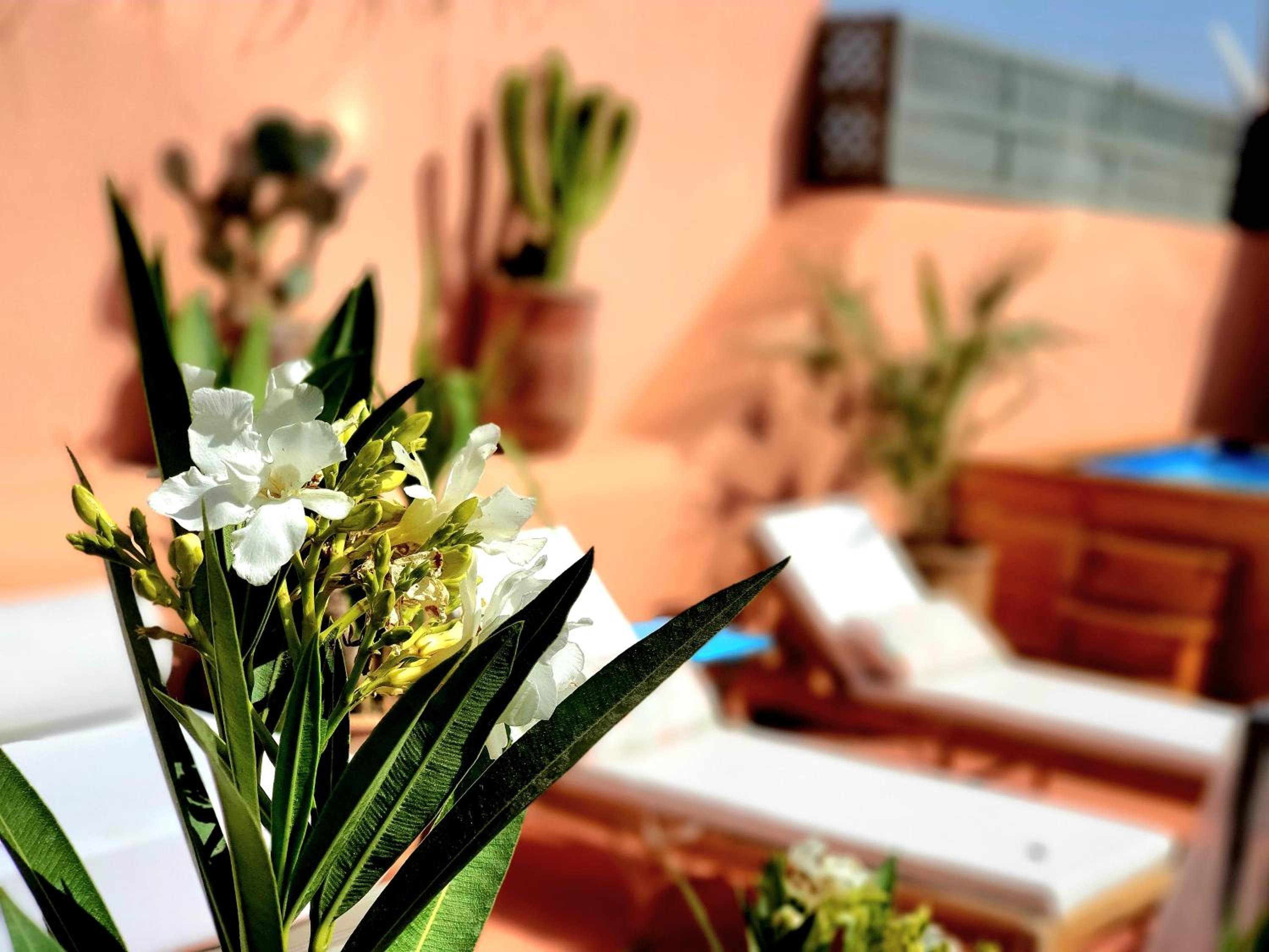 Riad Dar Zouar & Spa