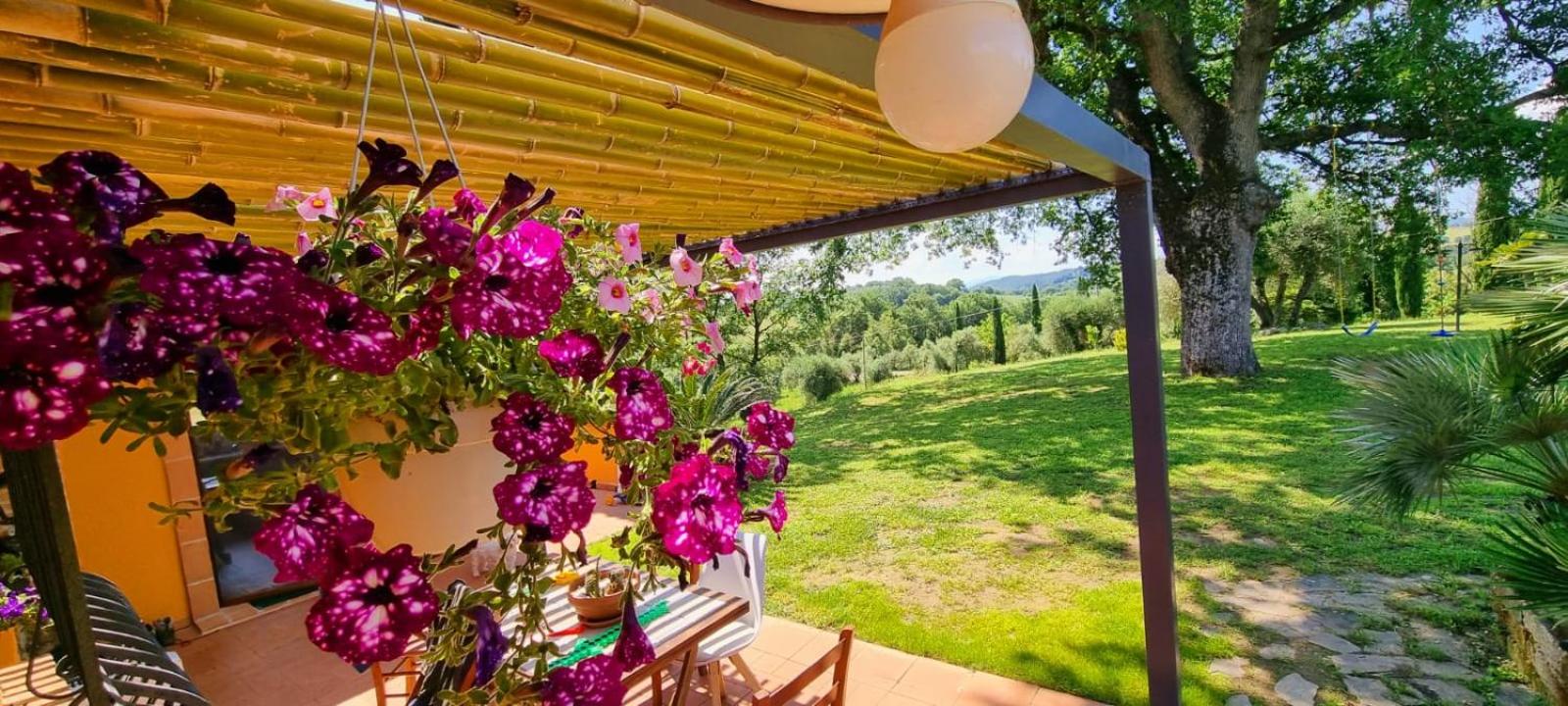 Cottage La Quercia view 5