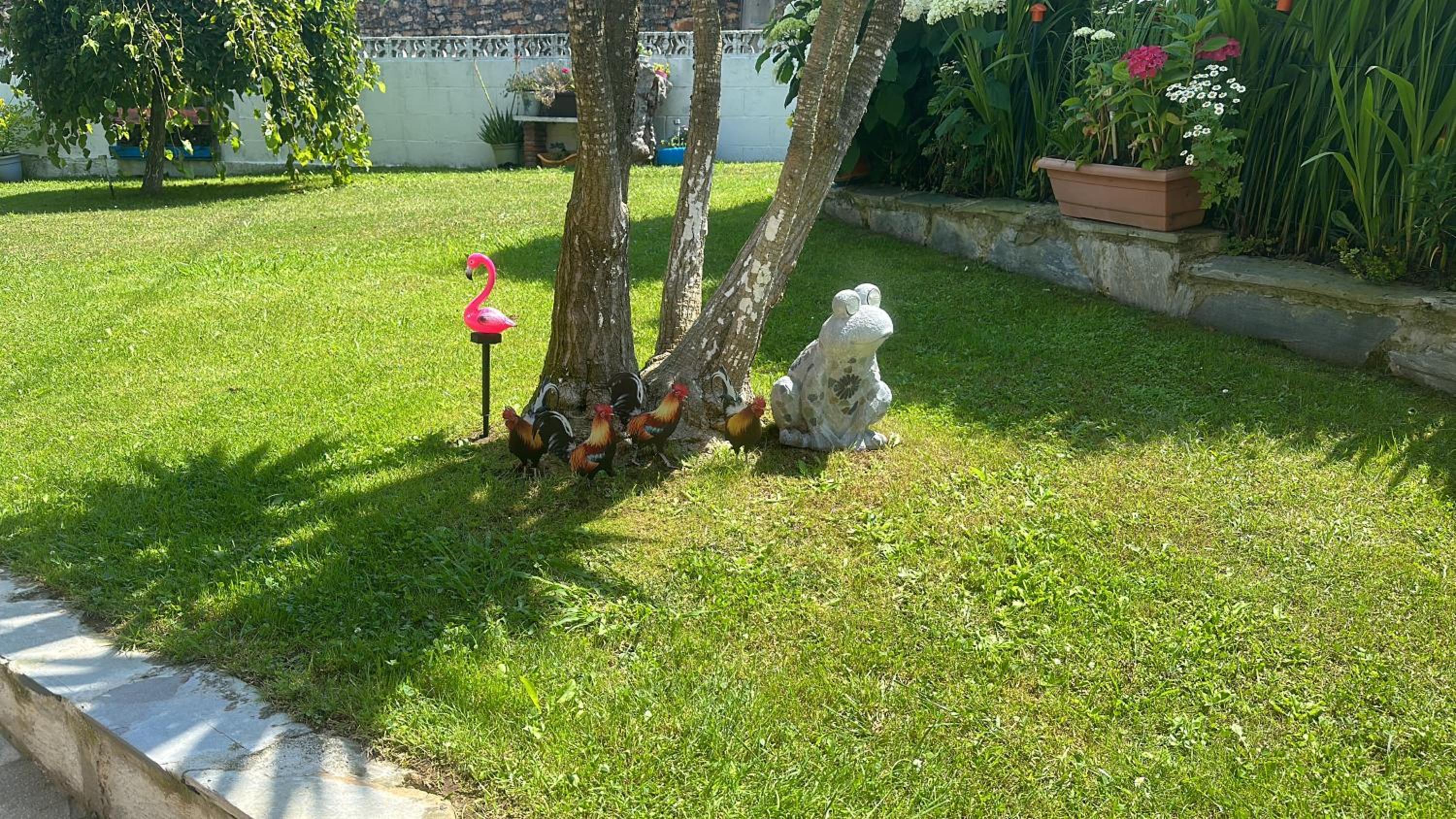 Photo 10
