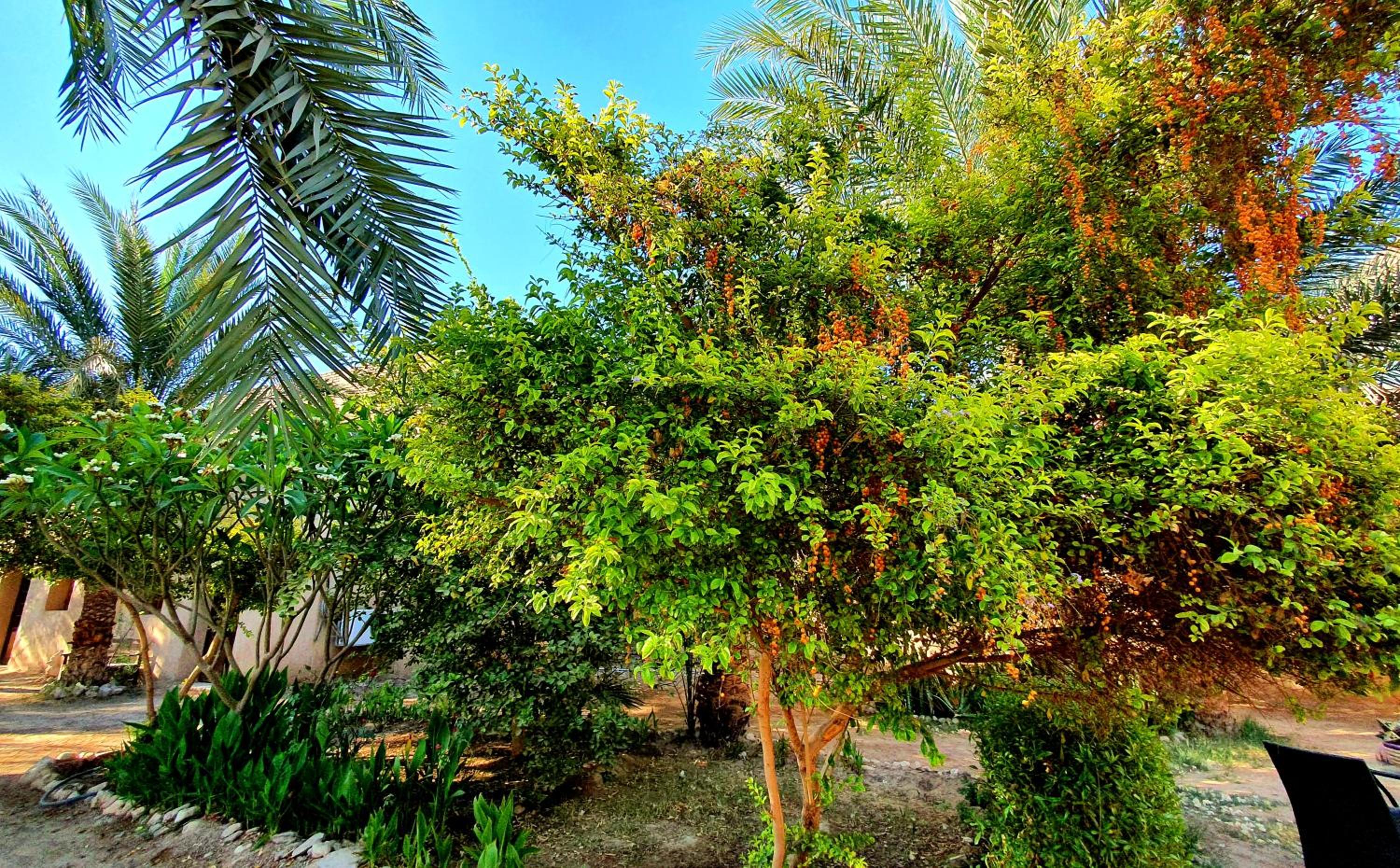 Sekhmet Retreat Centre