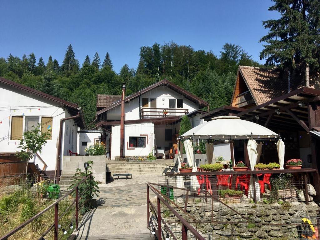 Photo 48