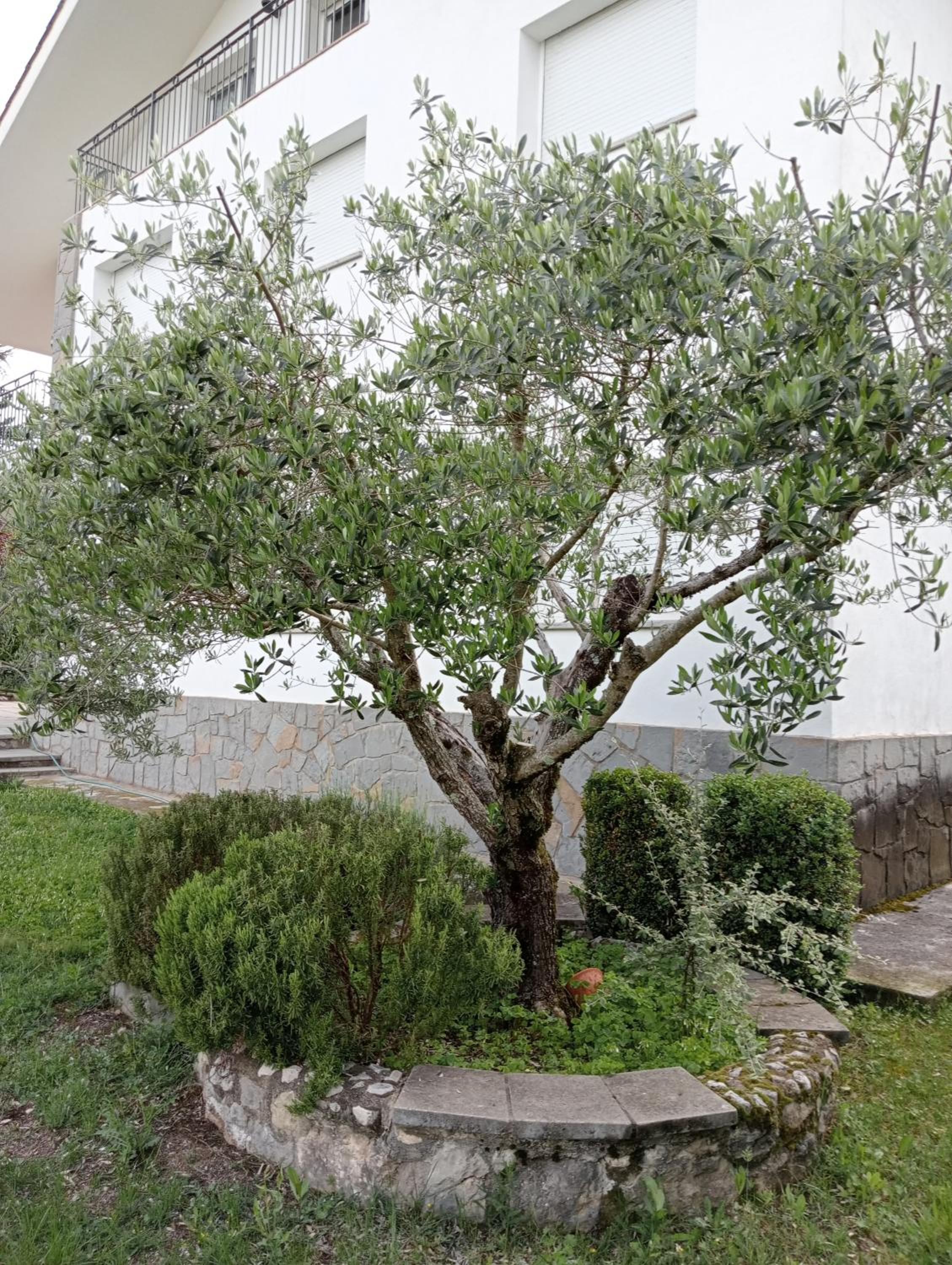 Apartamento-Casa turística l'Espígol