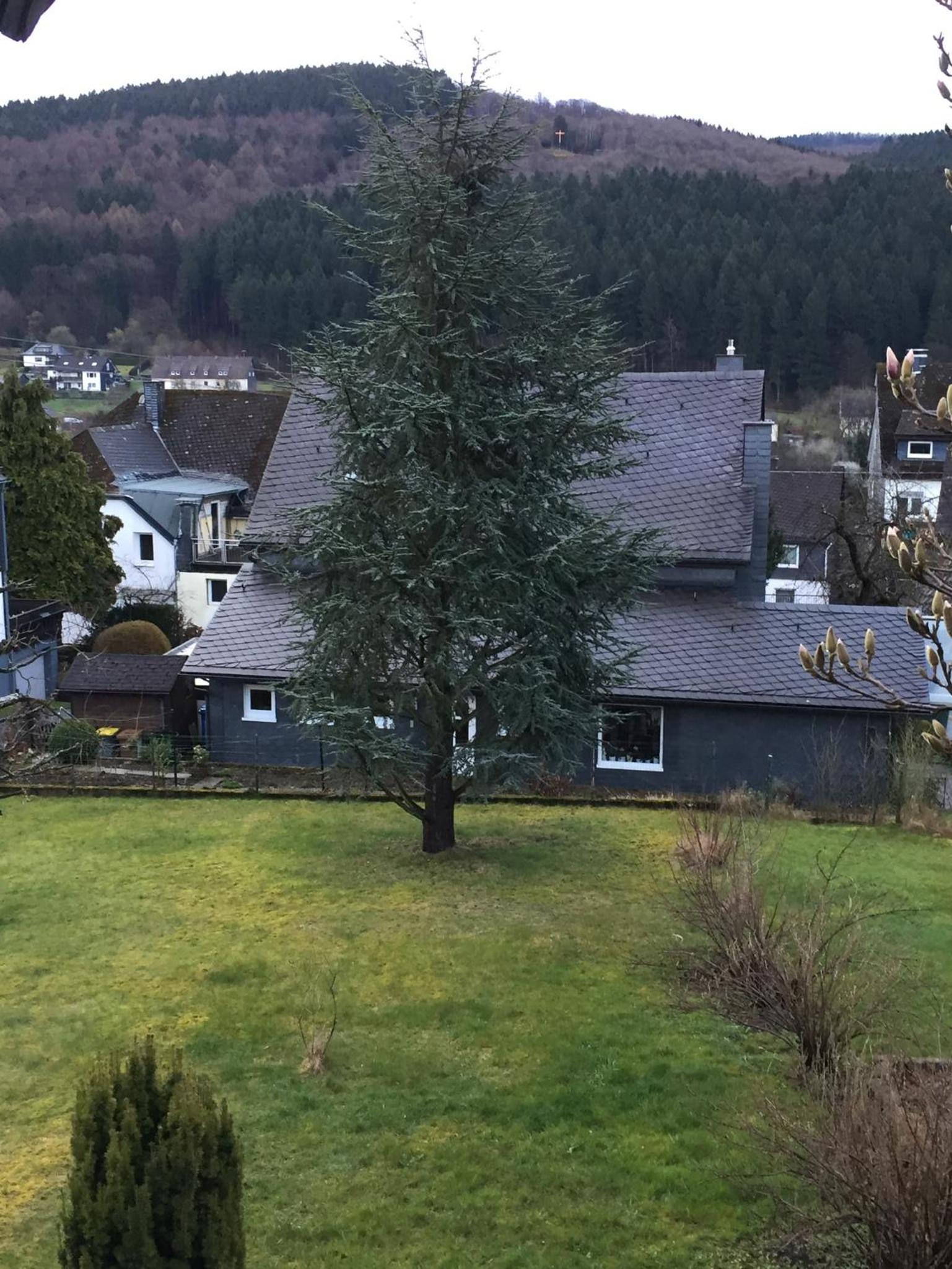 Gemütliche Wohnung im Herzen vom Dorf