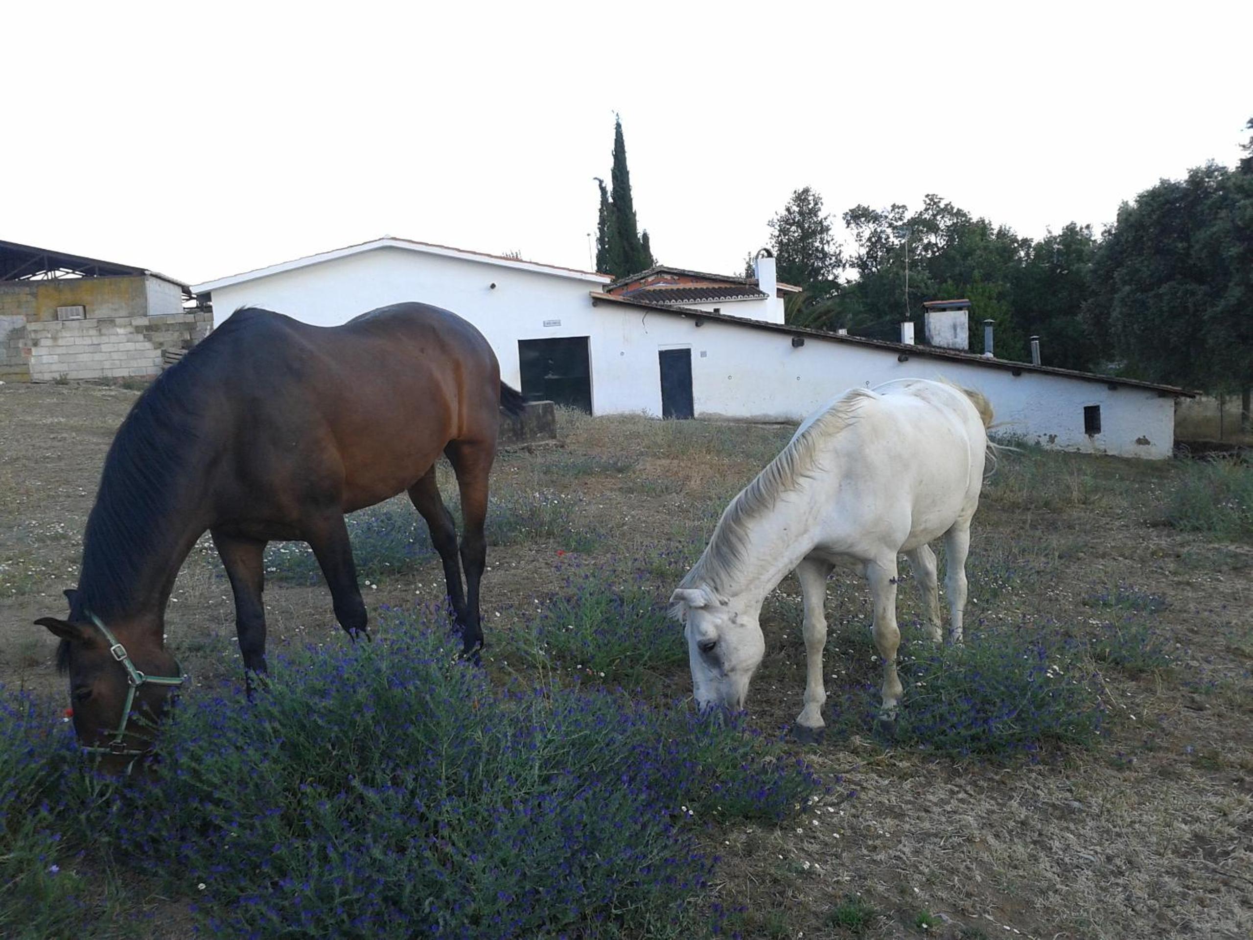 Casa Rural La Vallejera