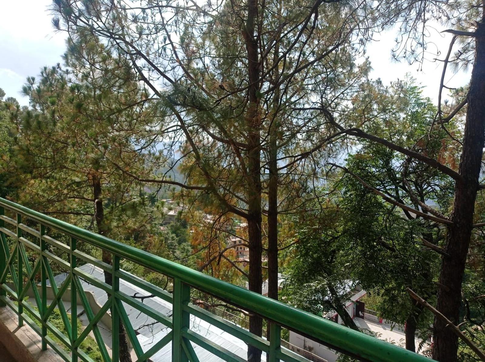 Photo 9