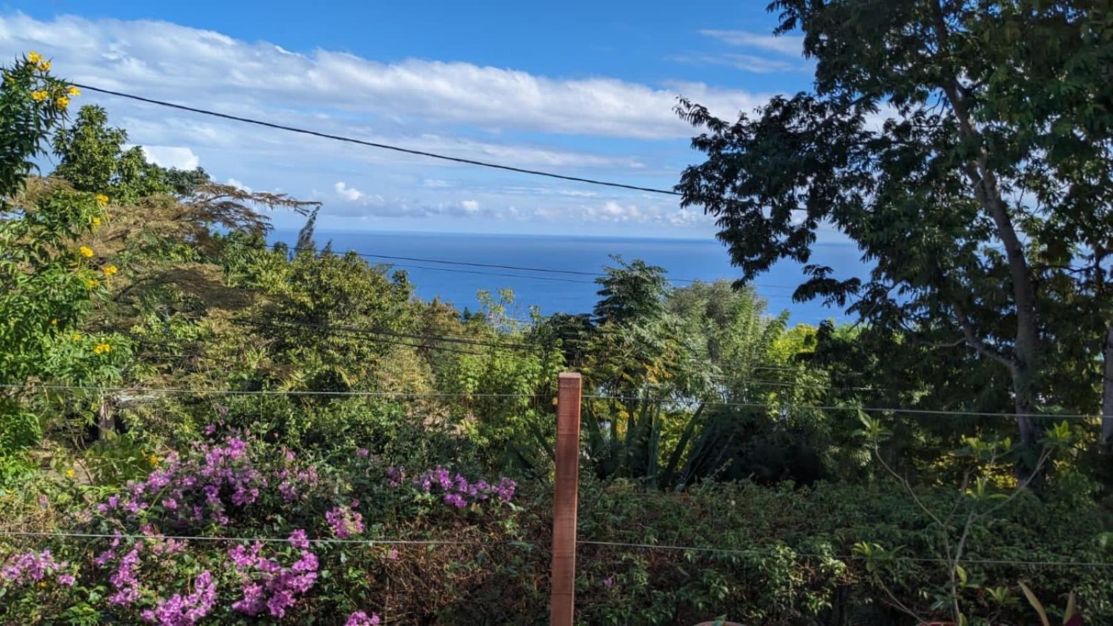 La maison des artistes view 3