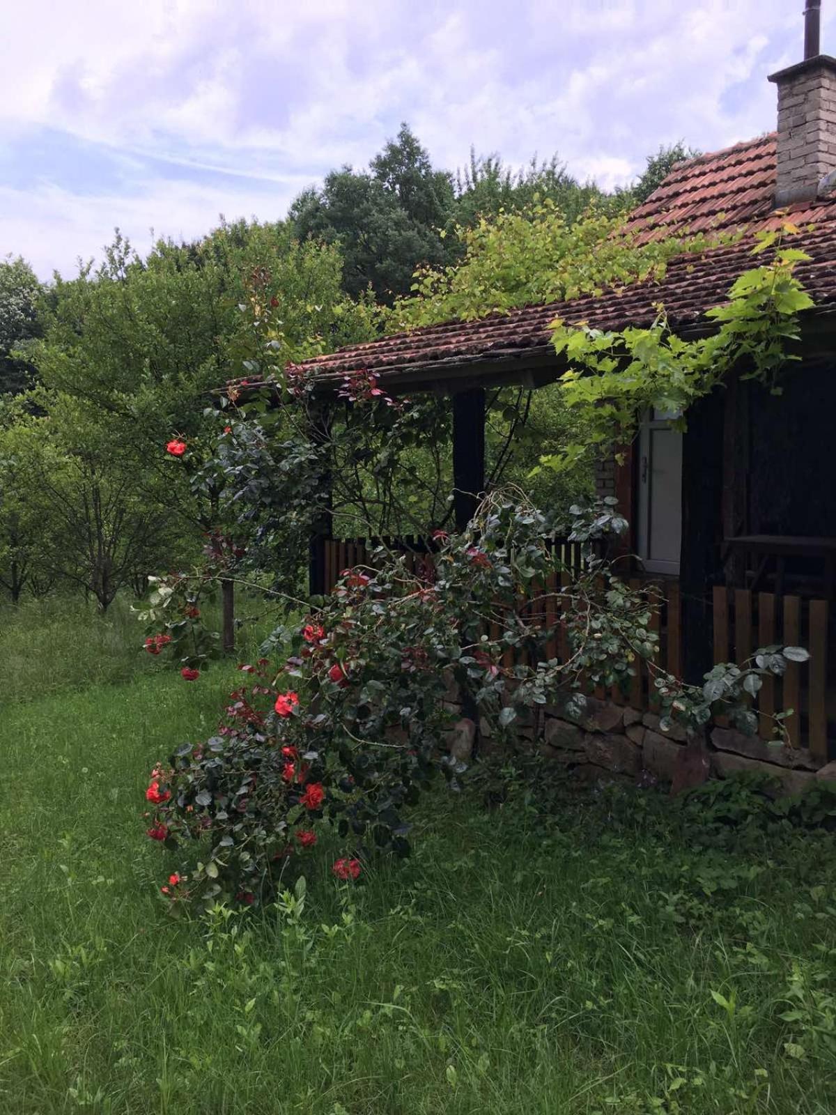 Etno selo odmaraliste Krugerdorf