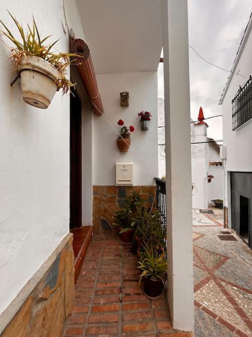 Casa Veracruz