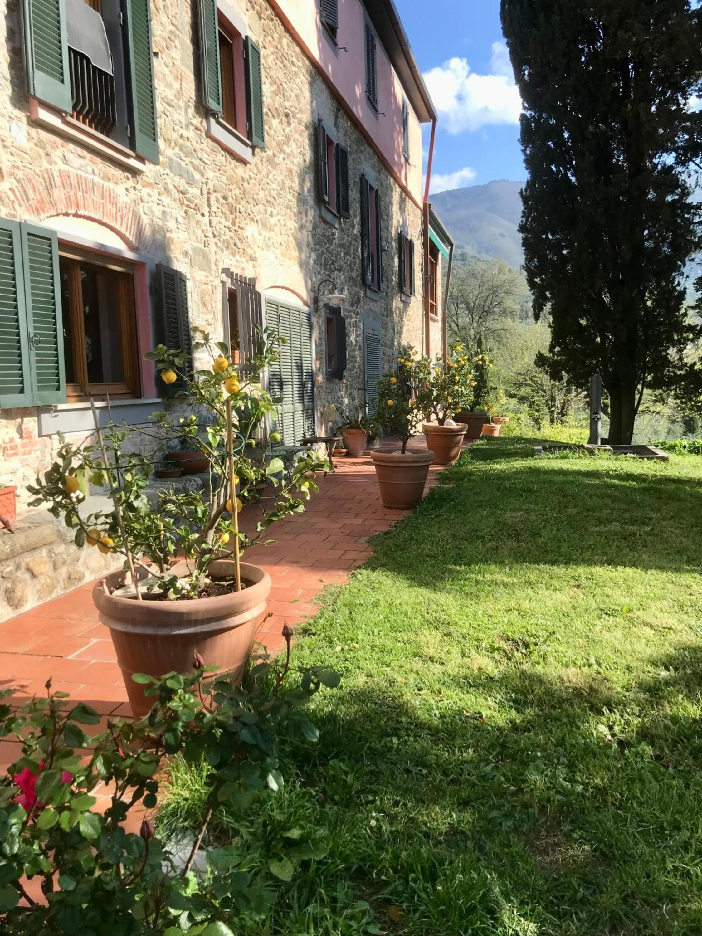 Photo 25