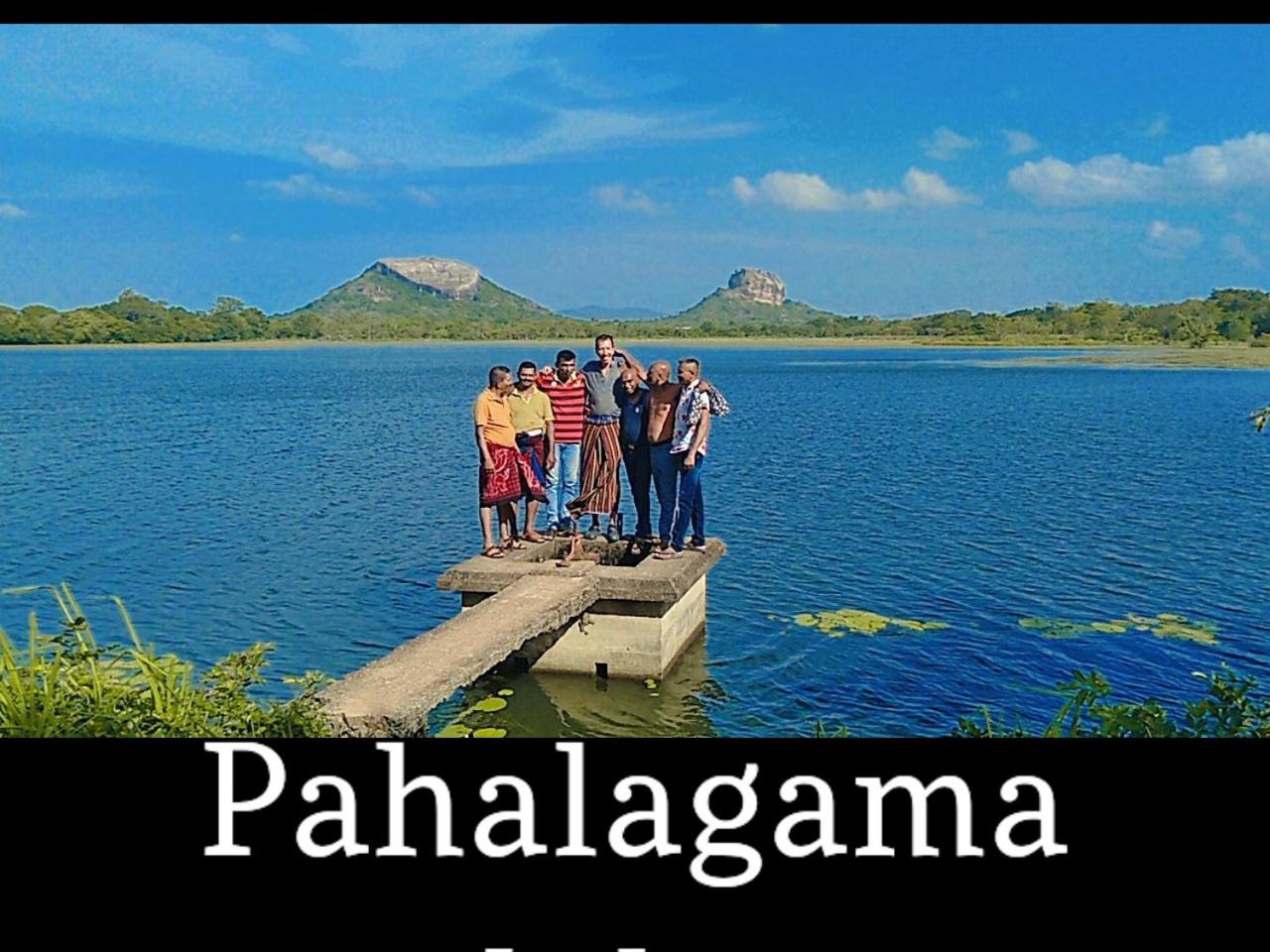 Photo 8