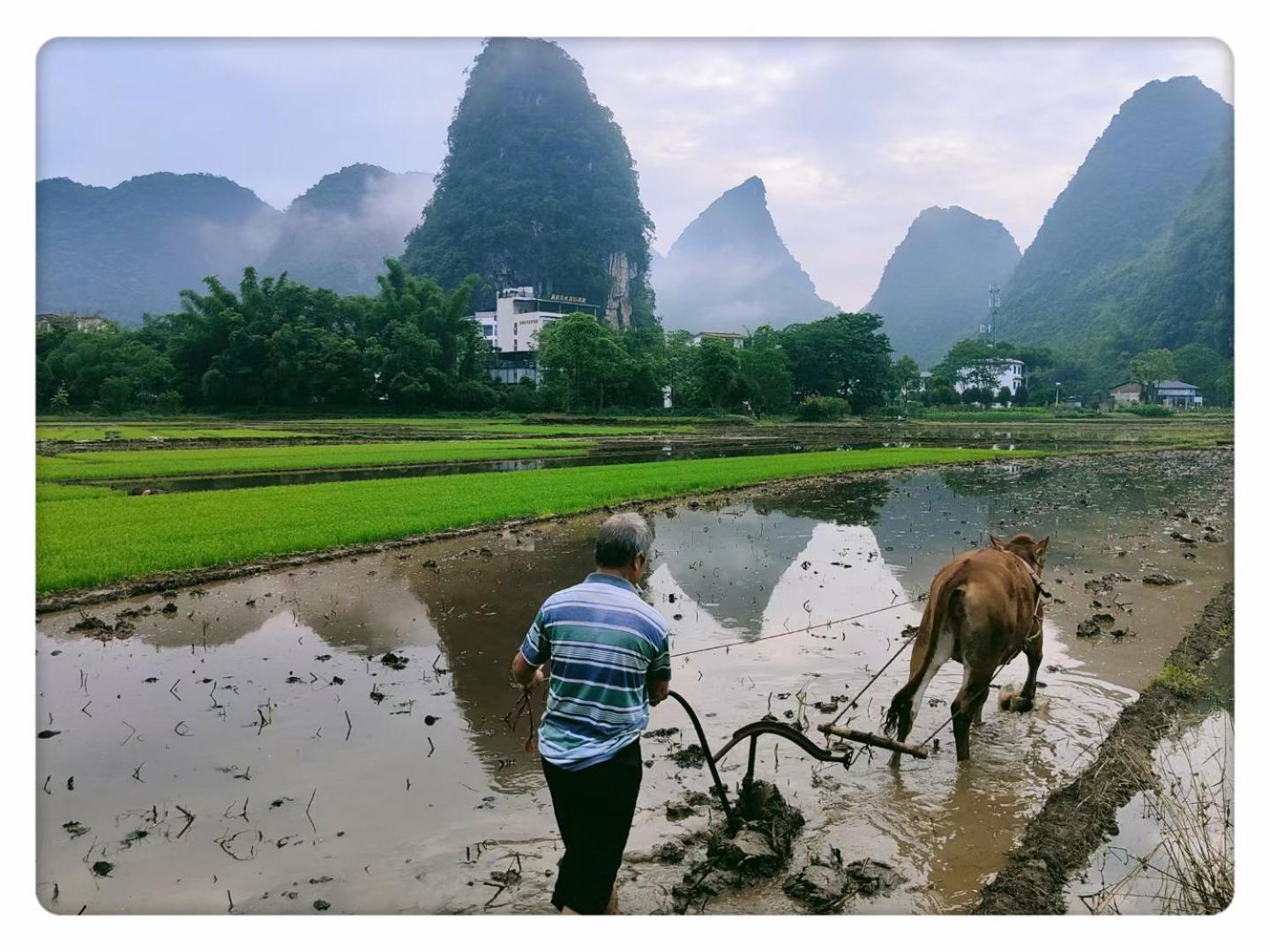 Yangshuo Eden's Social Guesthouse - Wake up to a hearty Western breakfast & fresh craft coffee & night beers & outdoor activities
