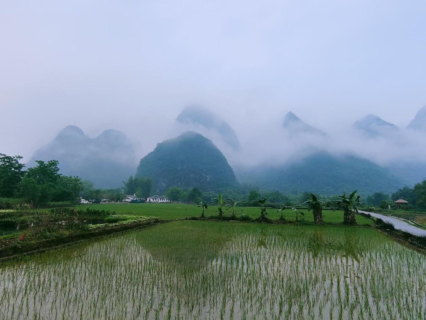 Yangshuo Eden's Social Guesthouse - Wake up to a hearty Western breakfast & fresh craft coffee & night beers & outdoor activities