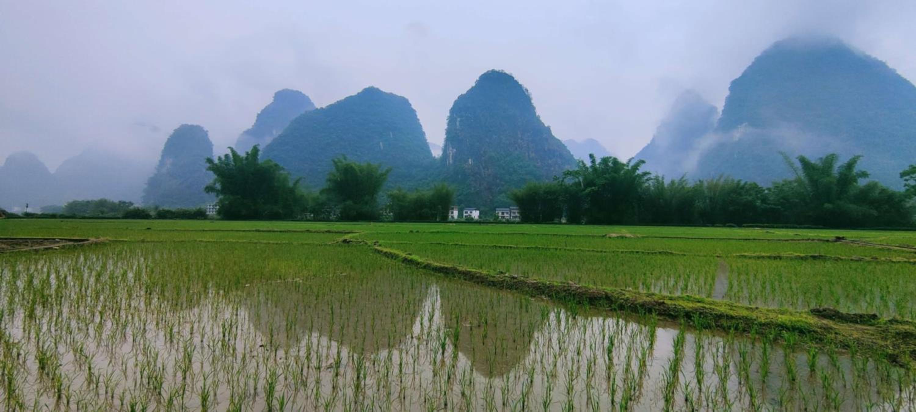 Yangshuo Eden's Social Guesthouse - Wake up to a hearty Western breakfast & fresh craft coffee & night beers & outdoor activities