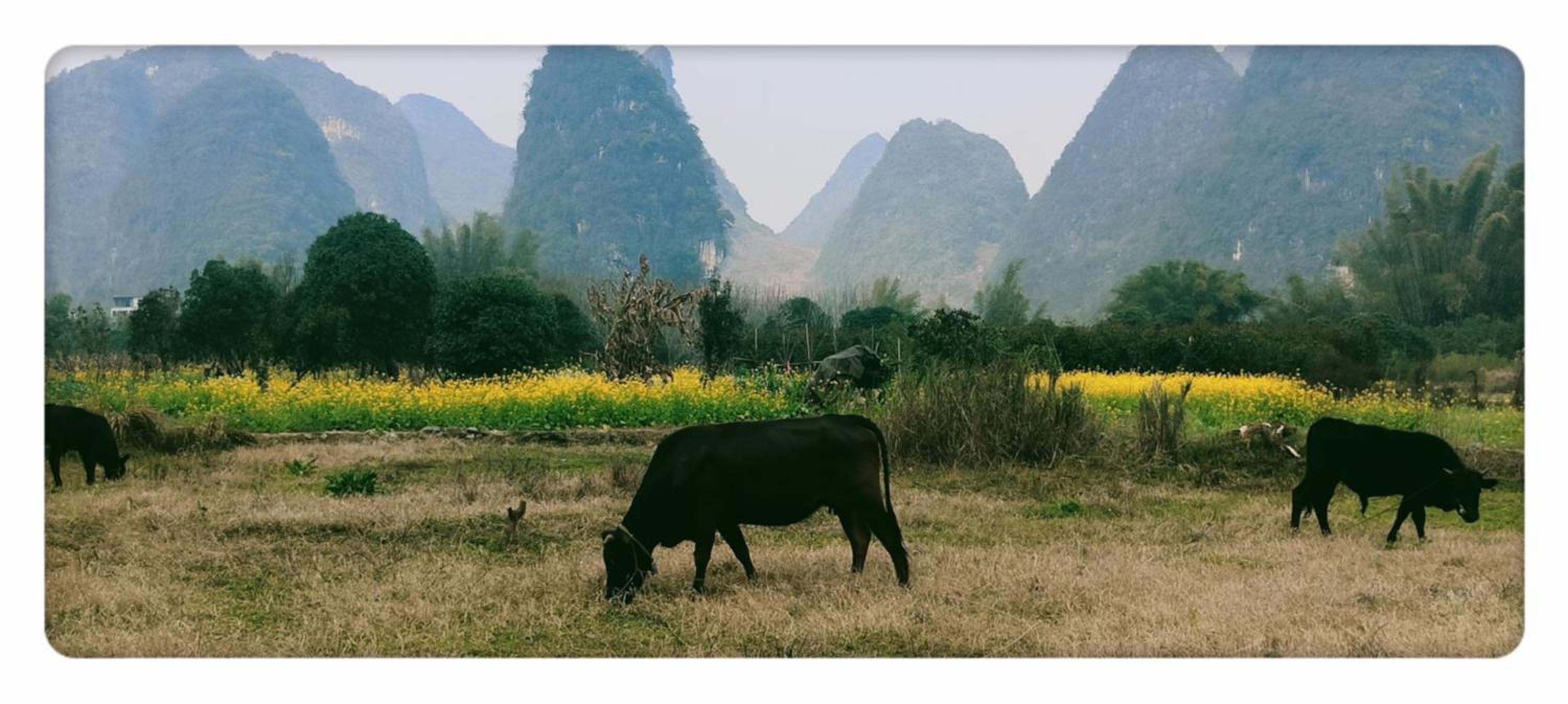 Yangshuo Eden's Social Guesthouse - Wake up to a hearty Western breakfast & fresh craft coffee & night beers & outdoor activities