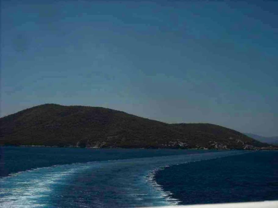 Photo 33