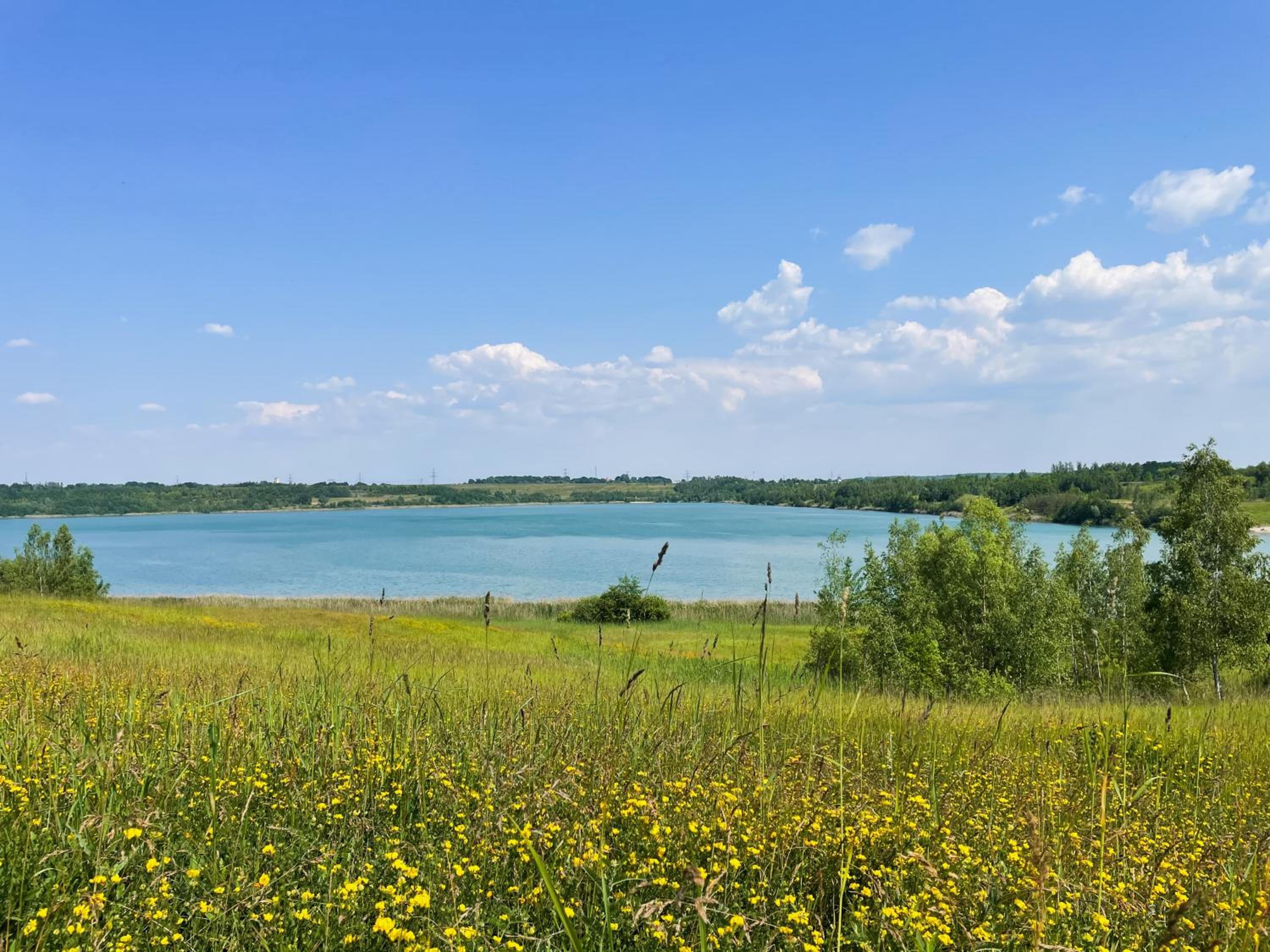 HAUS IM SCHILF 2 - Oase mit Seeblick - Adults only