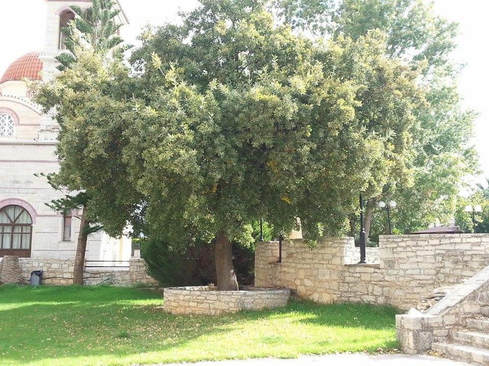 Photo 20