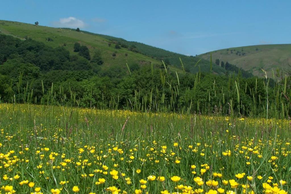 Stunning cottage nestled under the Longmynd Hills. view 5