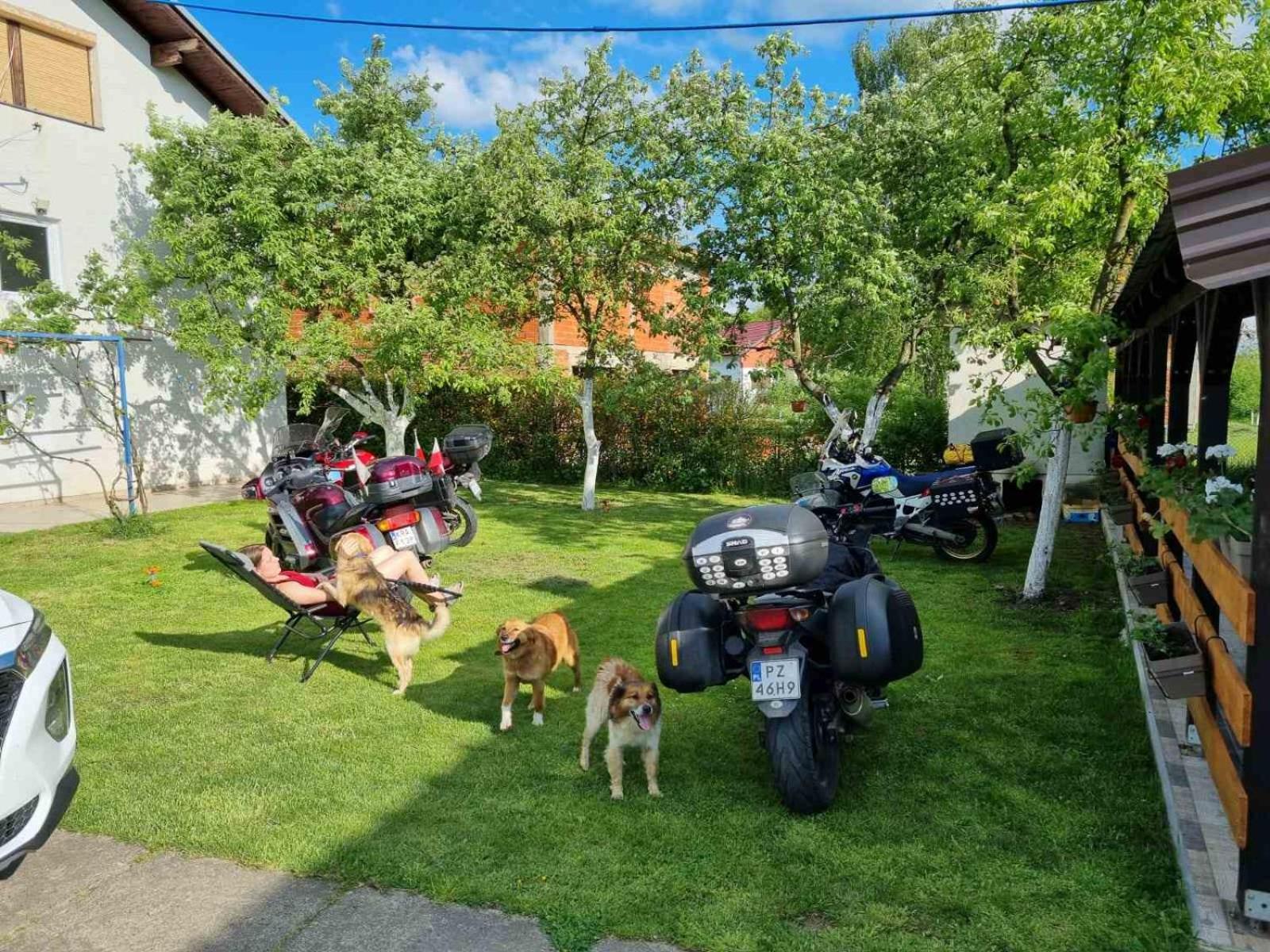 Home of nature - Kuća prirode