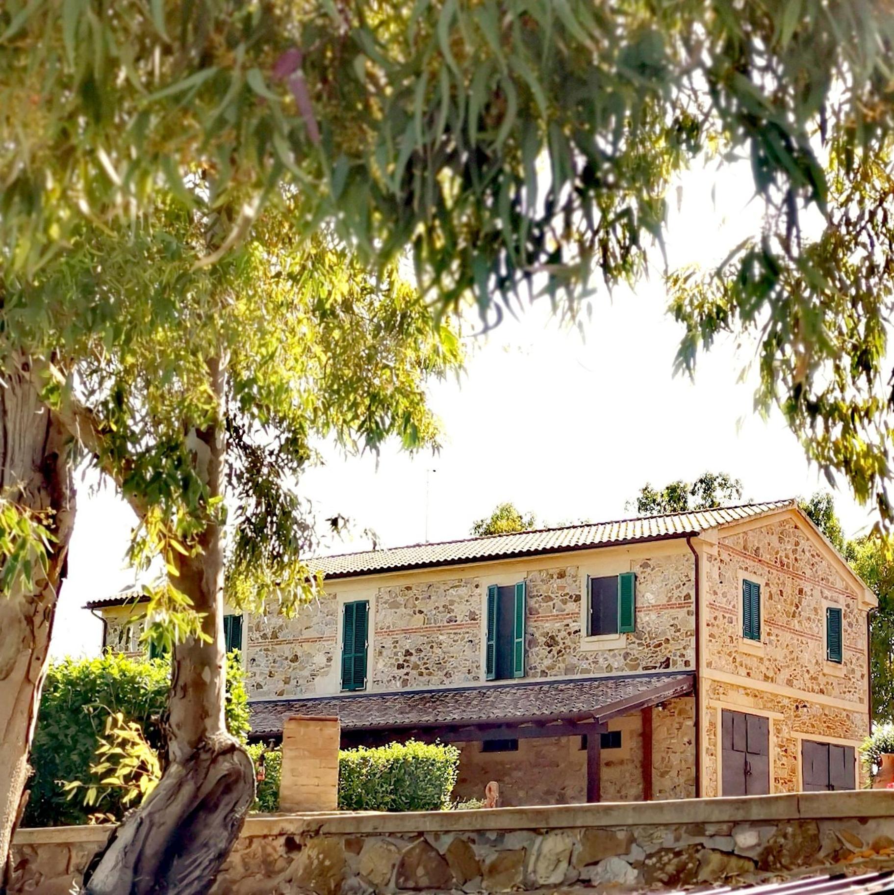 Fattoria Tolomei
