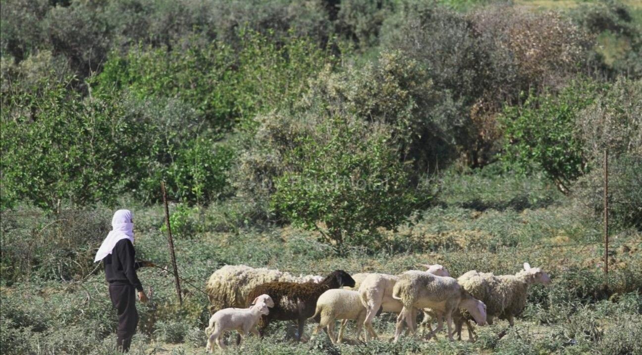other
