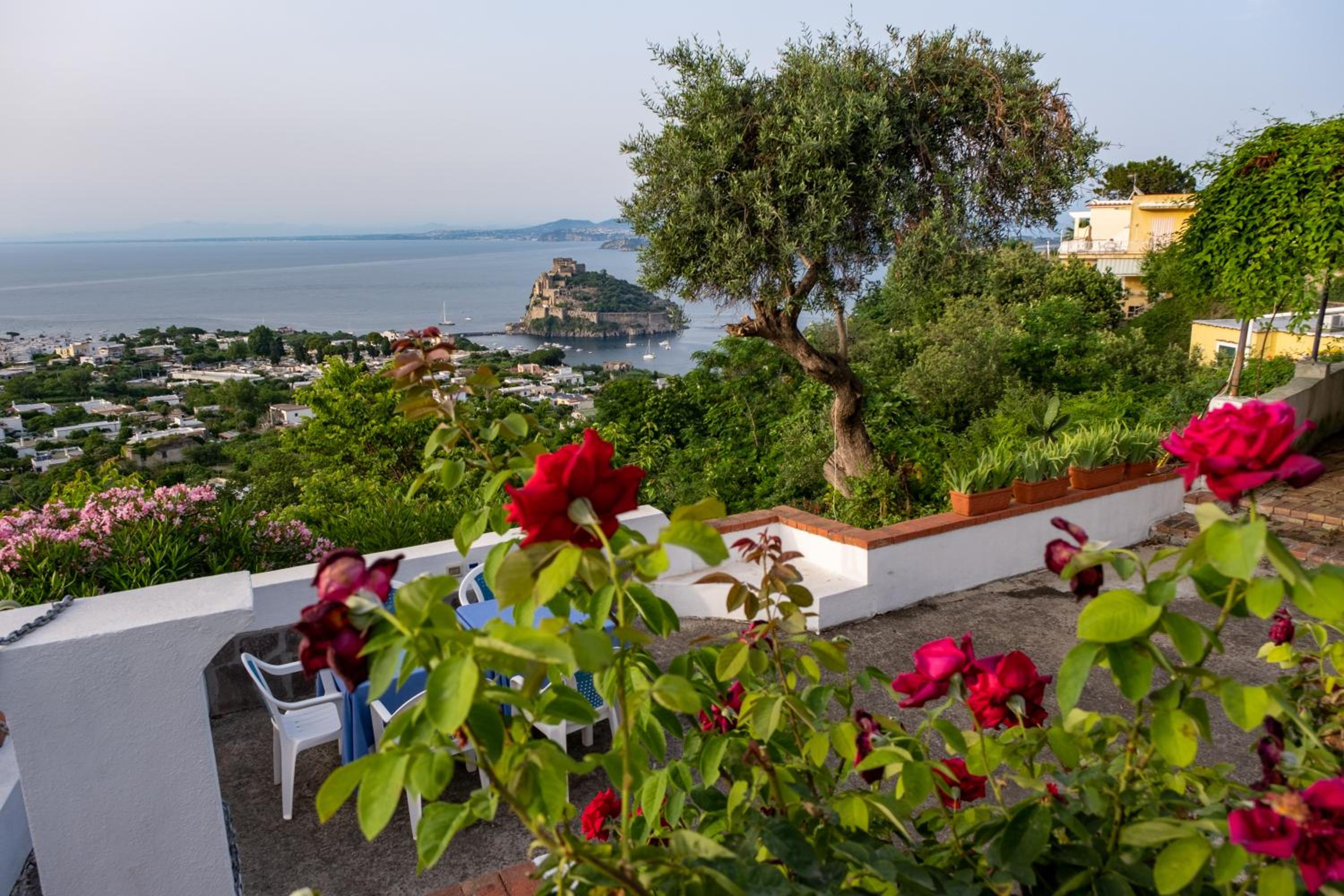 Barracuda Suite Sea View & Dinner Experience