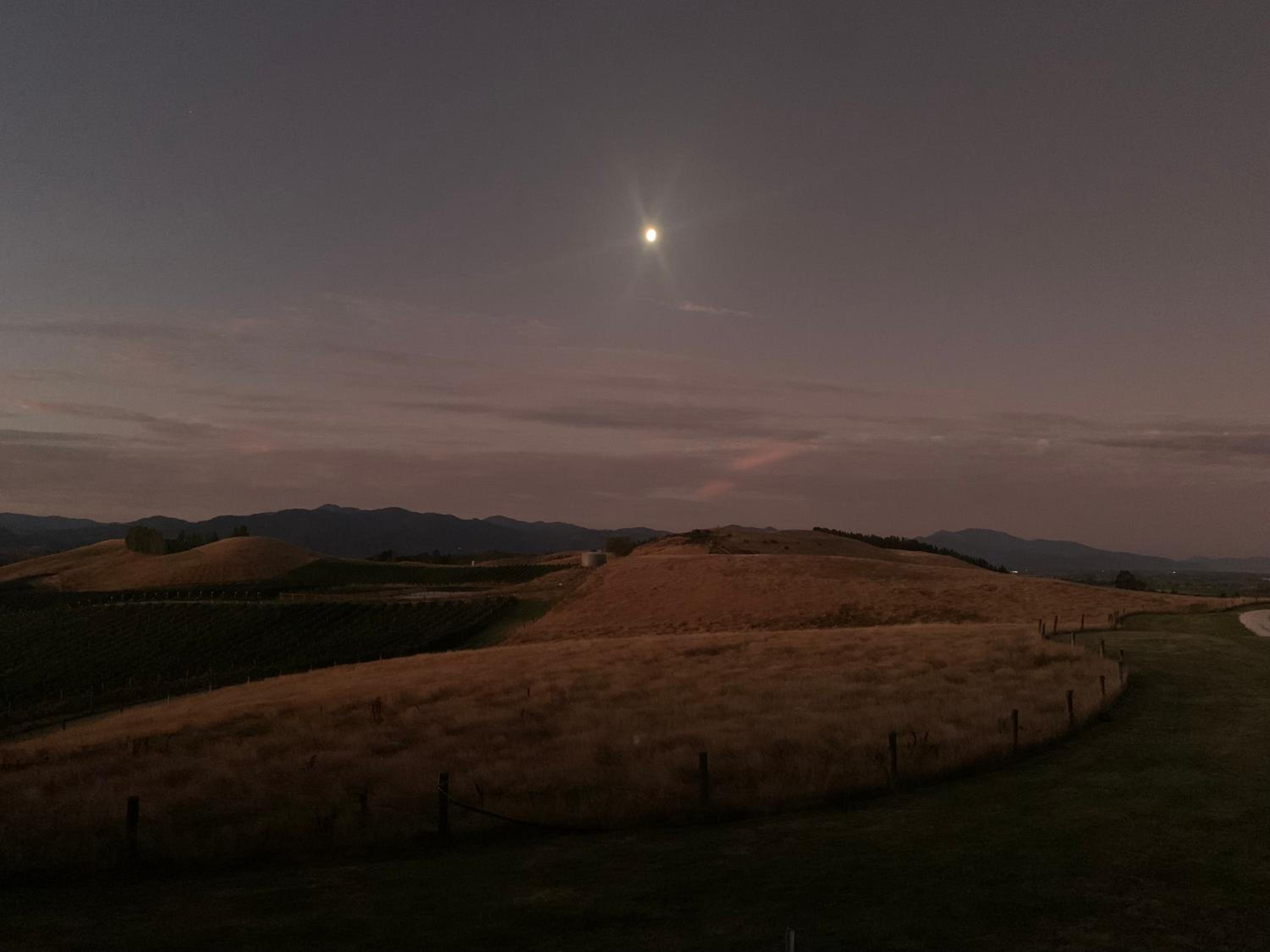 Brancott Ridge