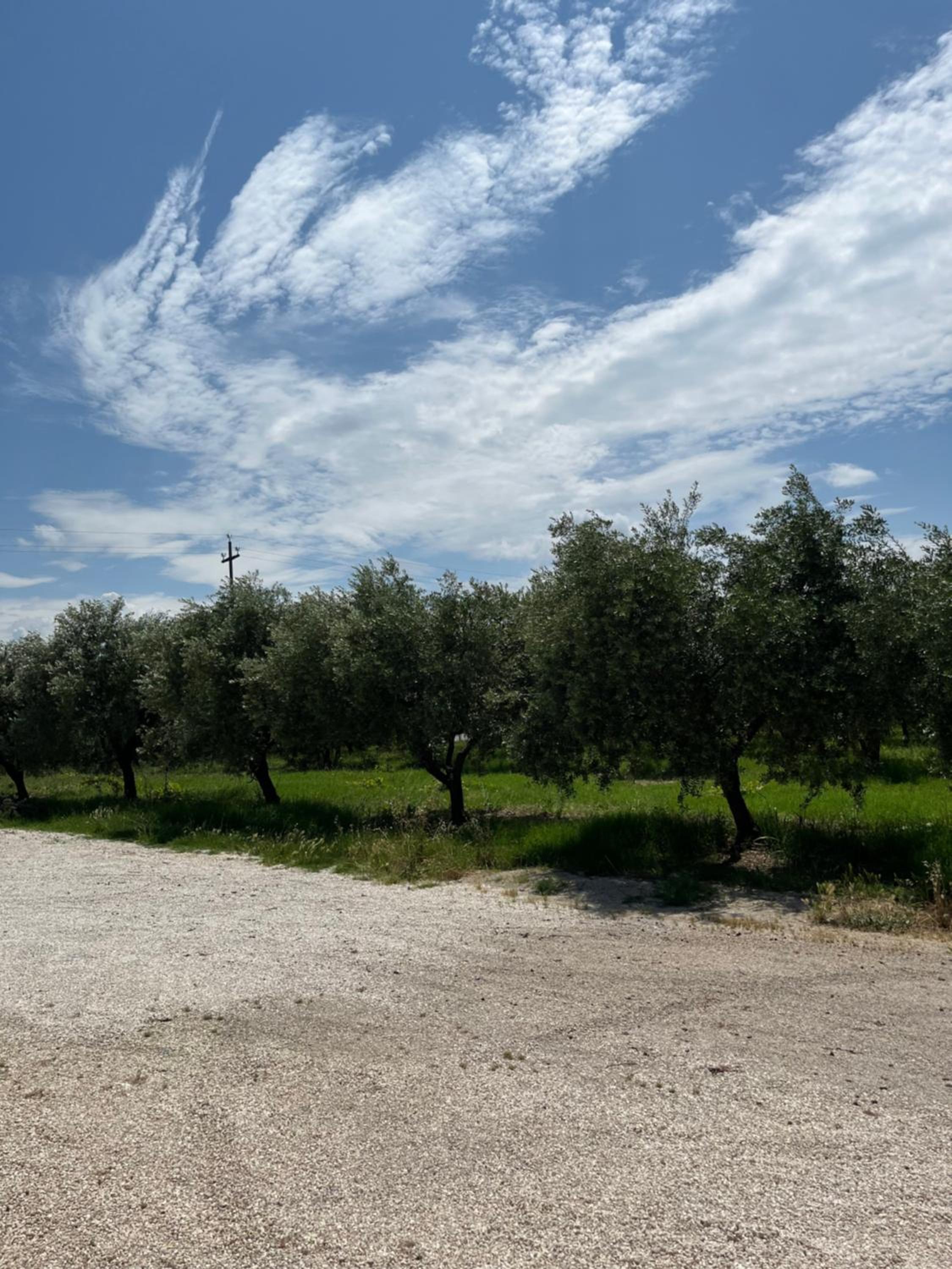 Il casale del Nonno Armando view 4