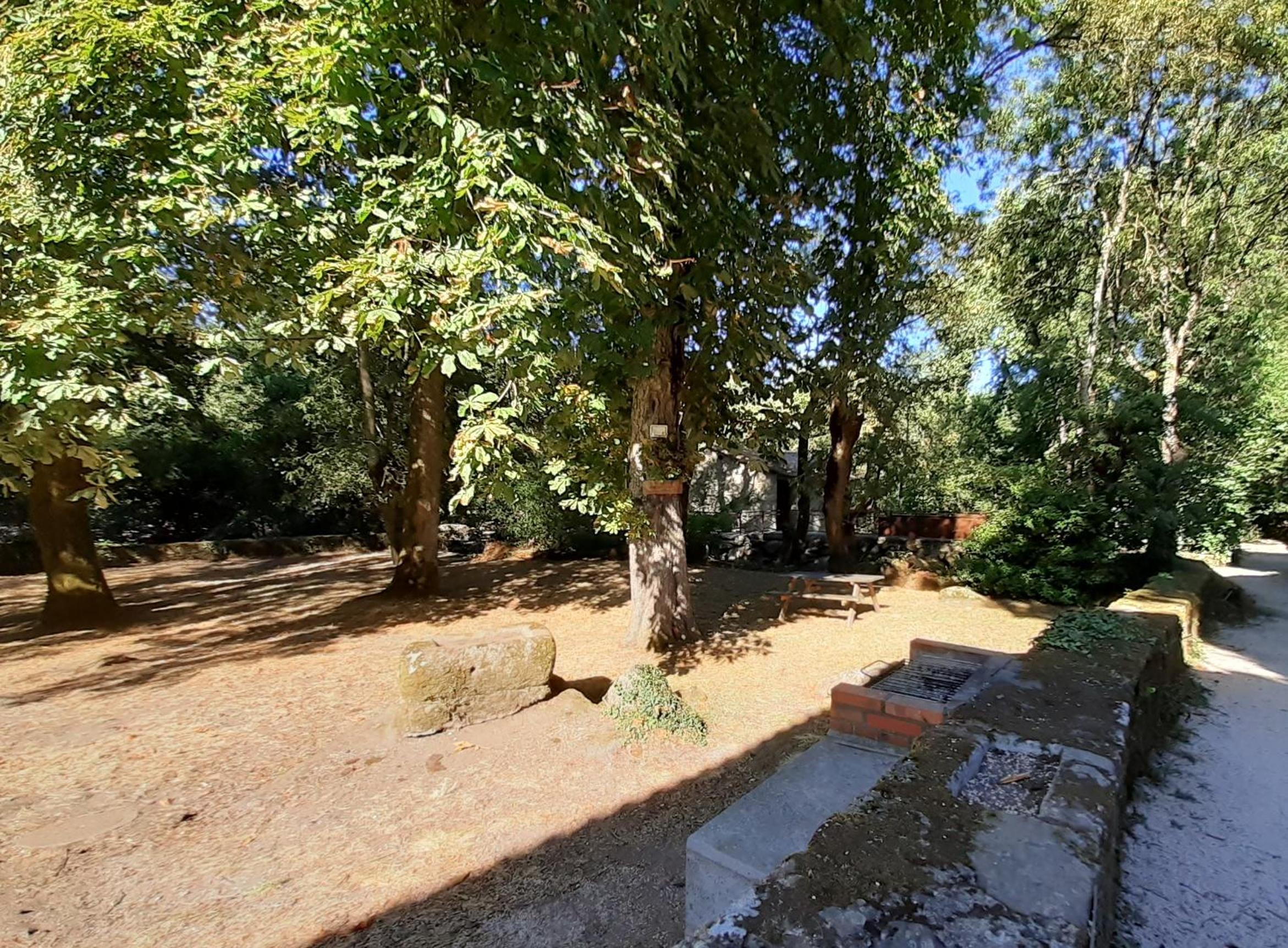 Photo 24