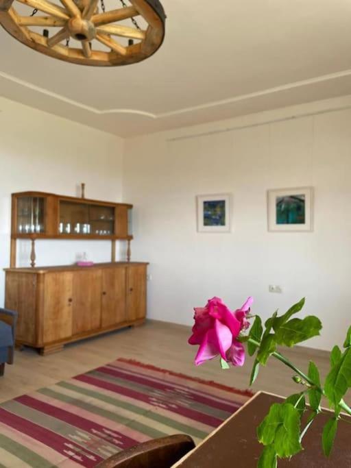 Tooi-Tooi EcoLodge