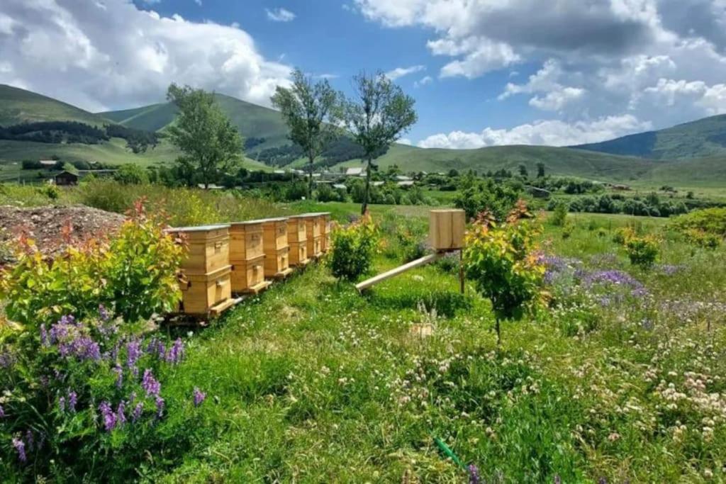 Tooi-Tooi EcoLodge