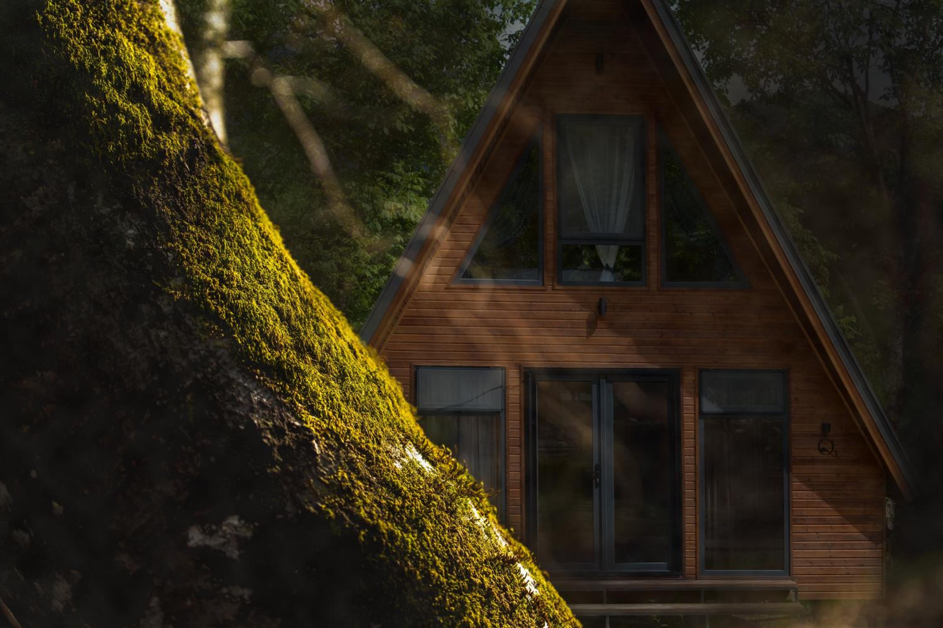 Qedi Cottages