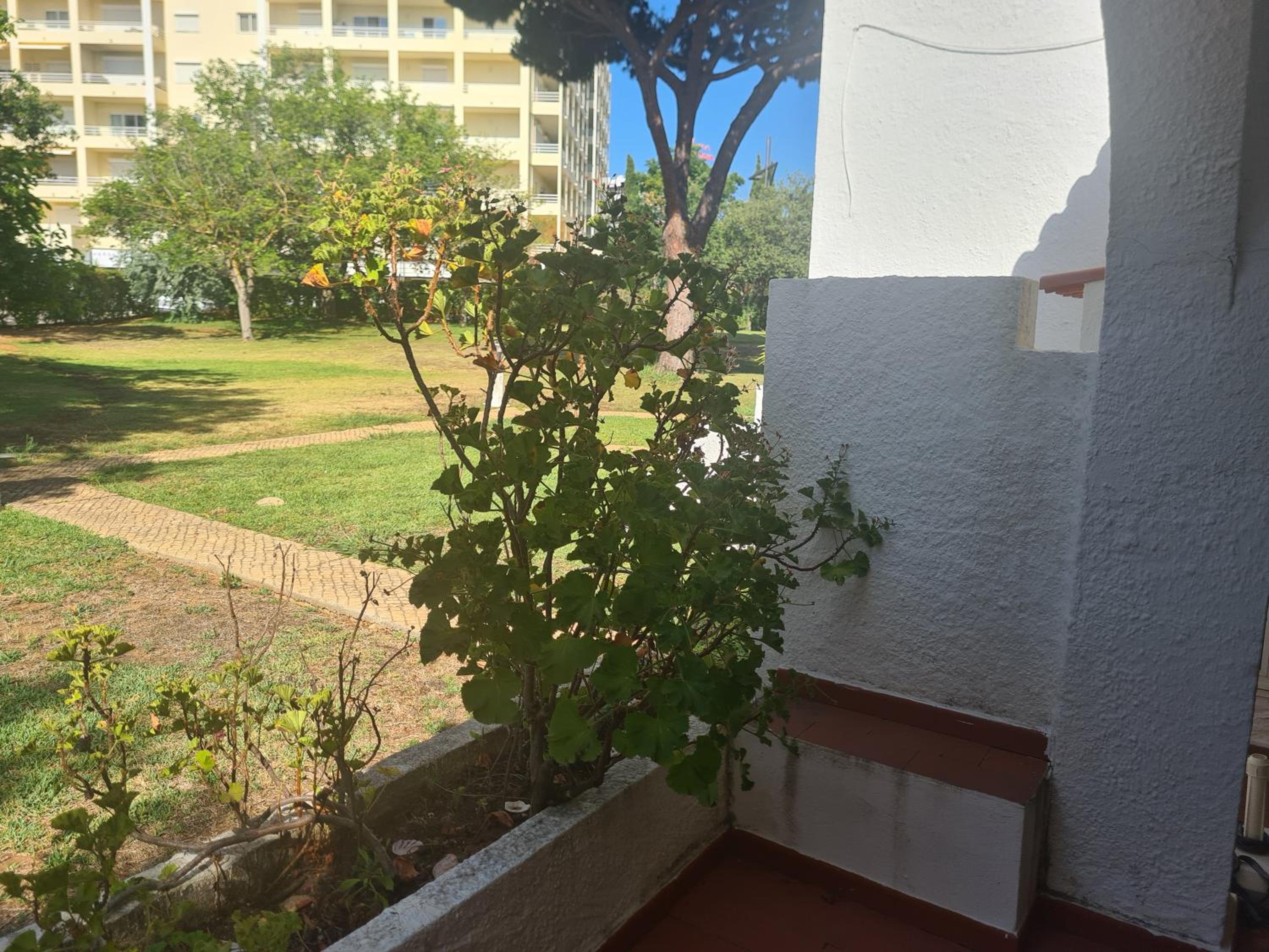 Vilamoura Alecrim
