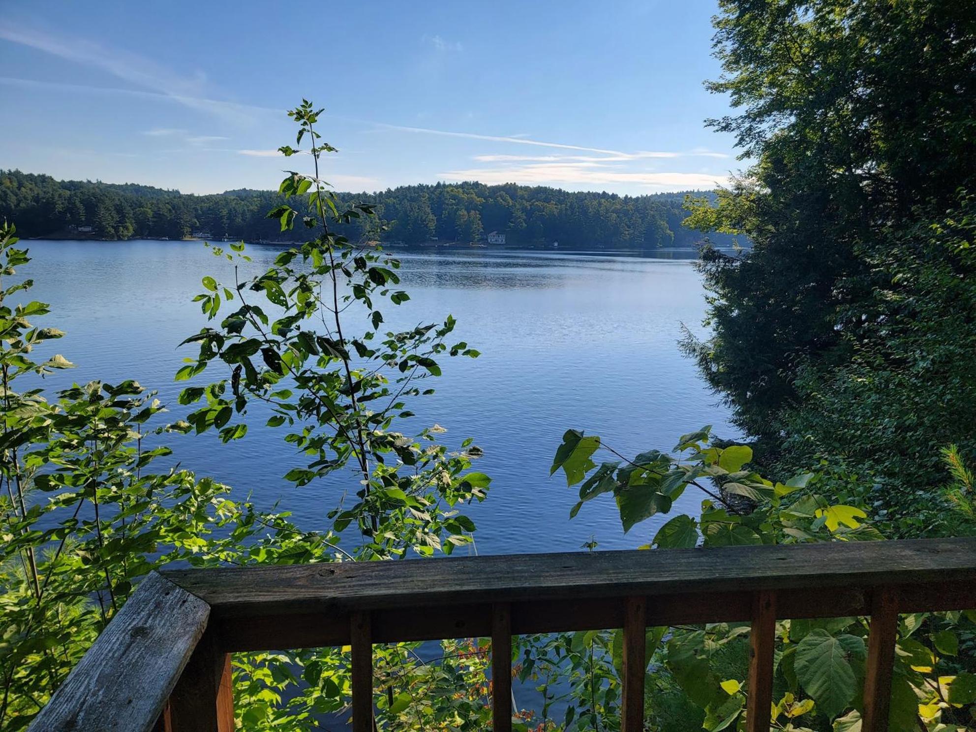 Camp Lake Bear view 5