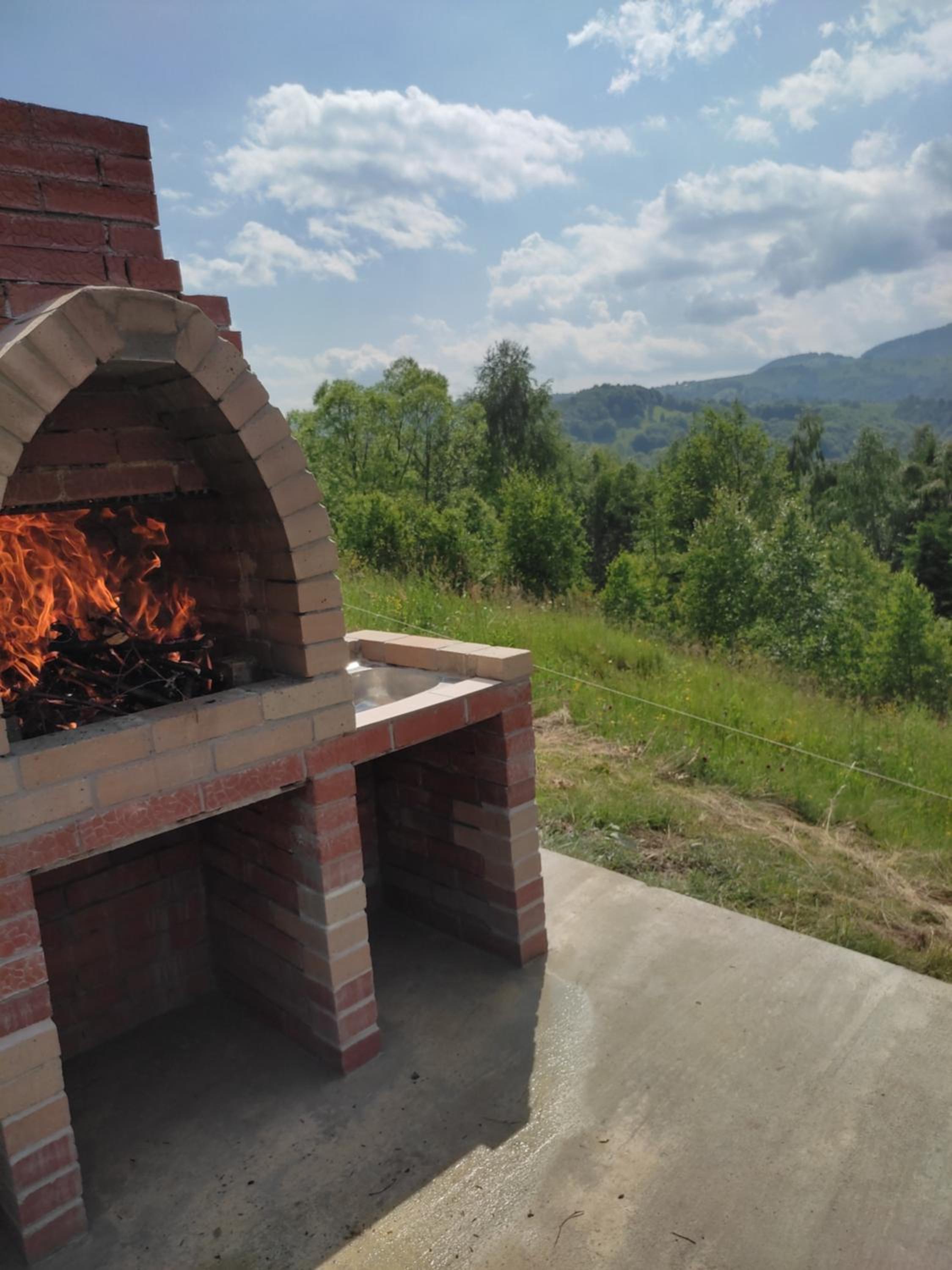 Cabana doi mesteceni